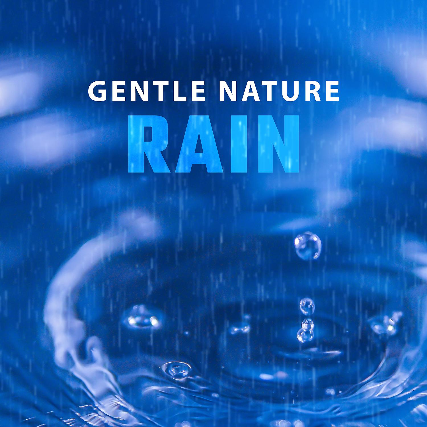 Постер альбома Gentle Nature Rain