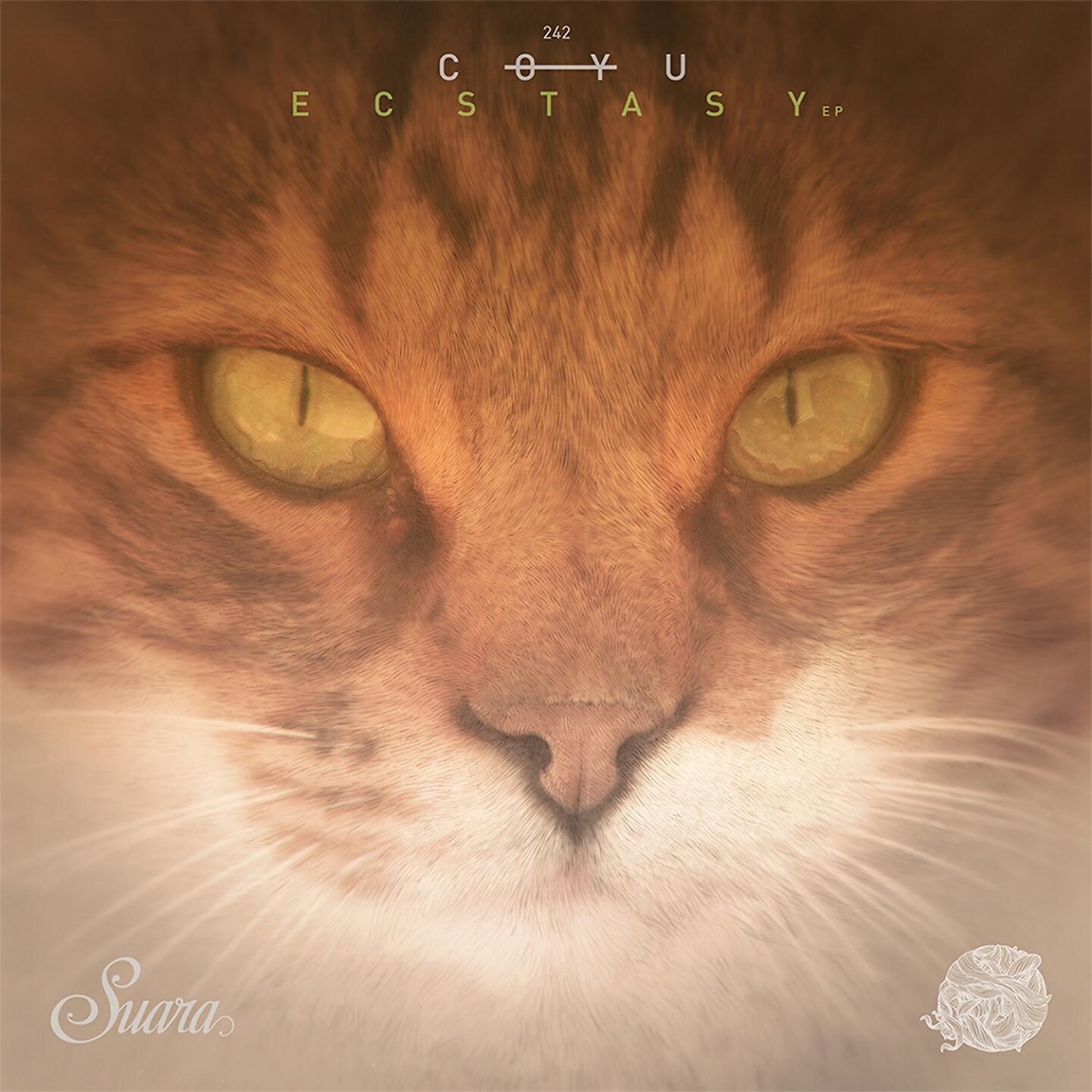 Coyu - Ecstasy (Wait and See Mix)