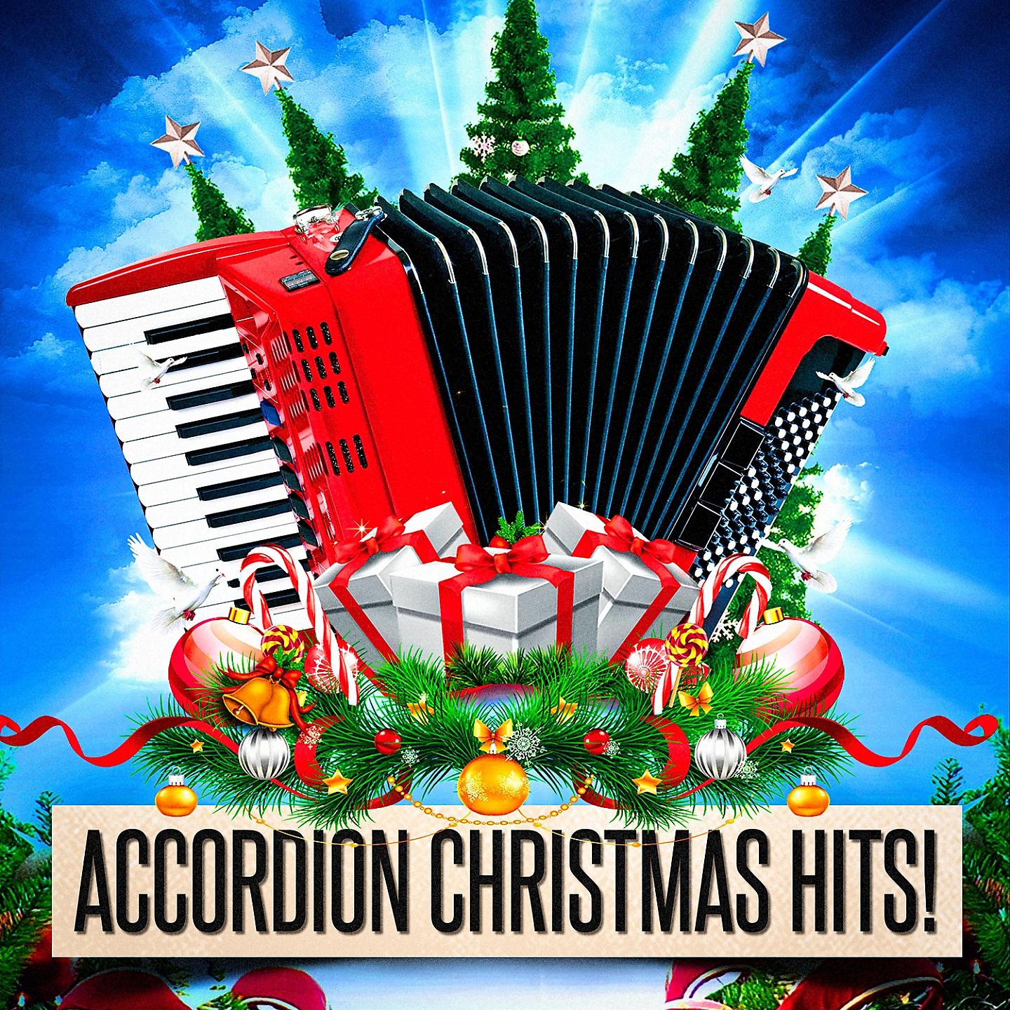 Постер альбома Accordion Christmas Hits!