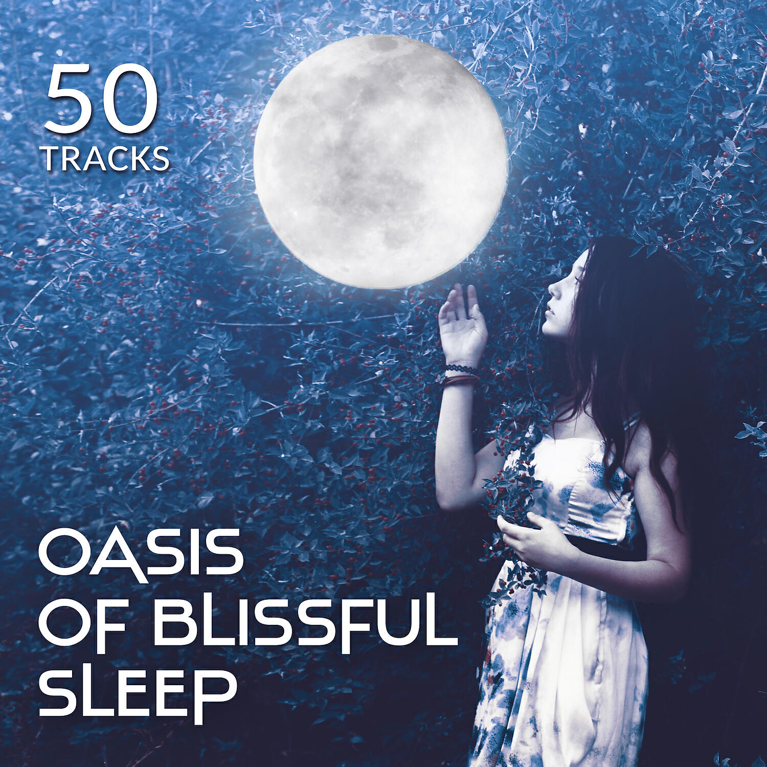 Liquid Life Oasis - Find Your Inner Peace
