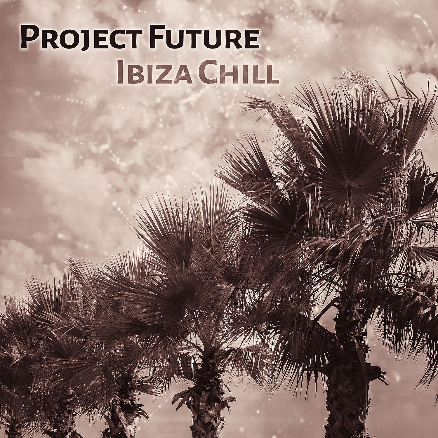 Постер альбома Project Future Ibiza Chill