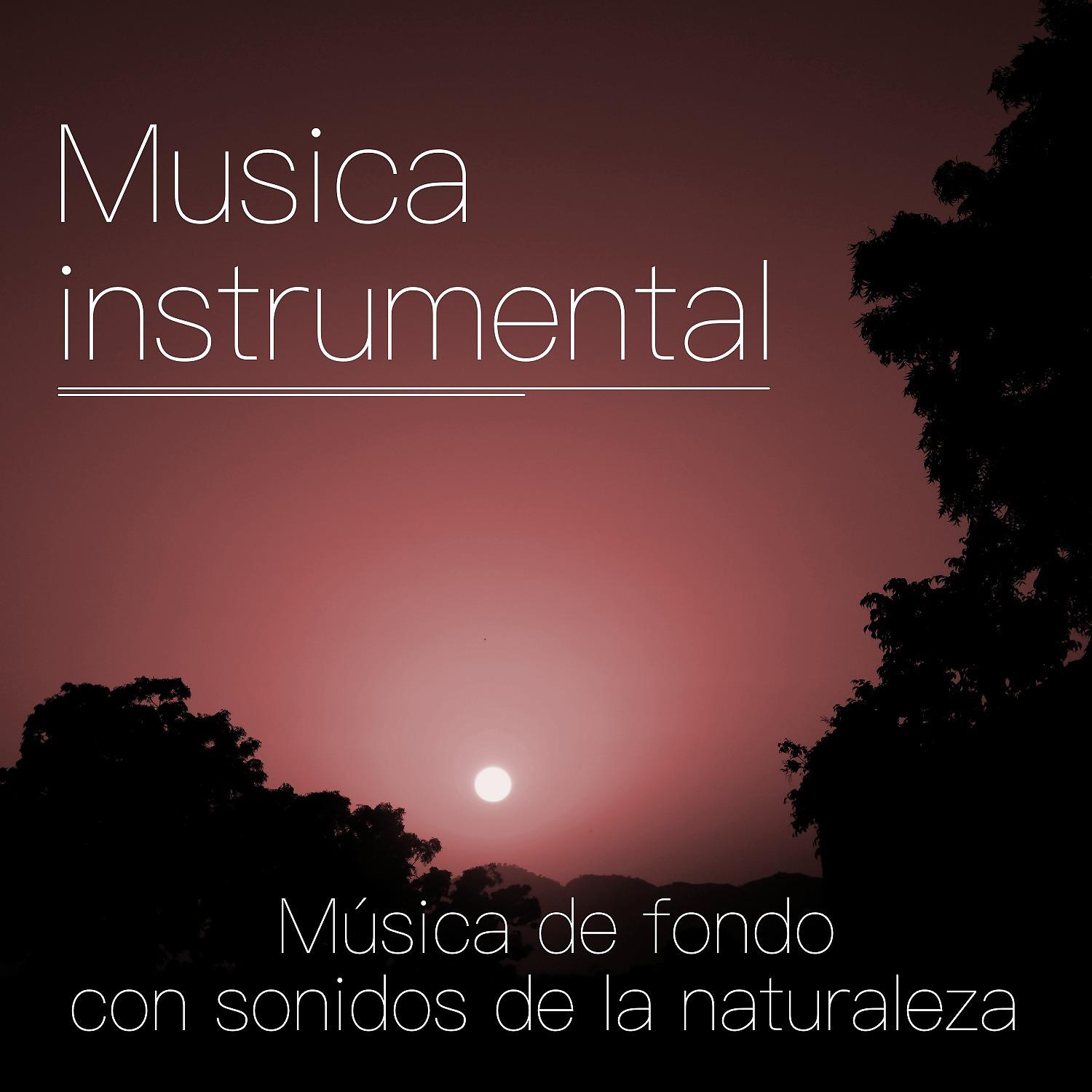 Постер альбома Musica instrumental – Música de fondo con sonidos de la naturaleza, la música de piano, el ruido blanco para la meditacion y el yoga de relajacion