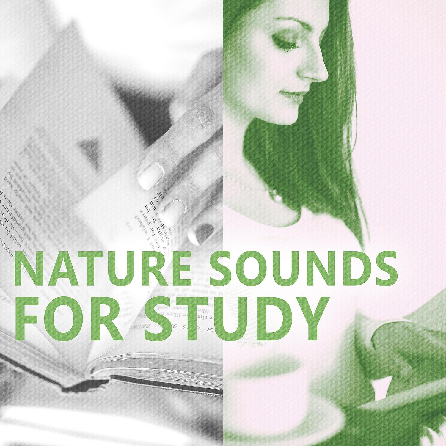 Постер альбома Nature Sounds for Study – Deep Concentration, Calm Noise to Work, Better Memory