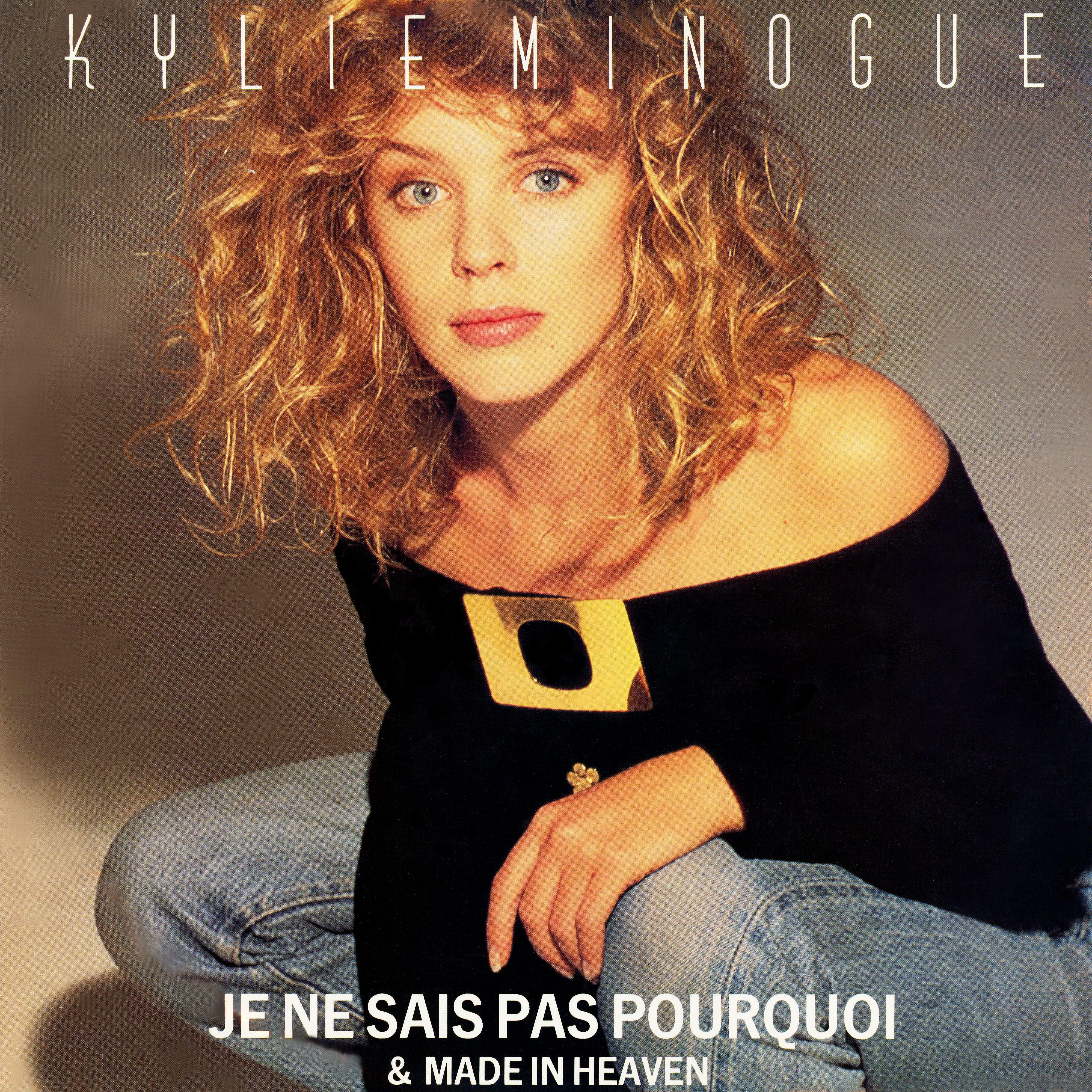 Постер альбома Je Ne Sais Pas Pourquoi (Remix)