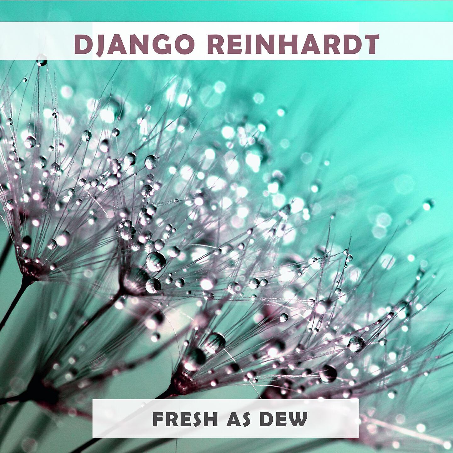 Django Reinhardt - Honeysuckle Rose