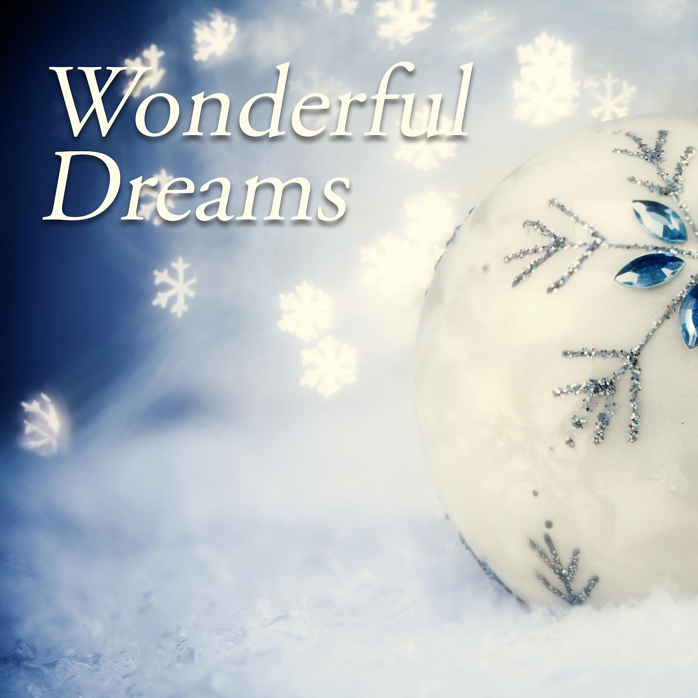Постер альбома Wonderful Dreams