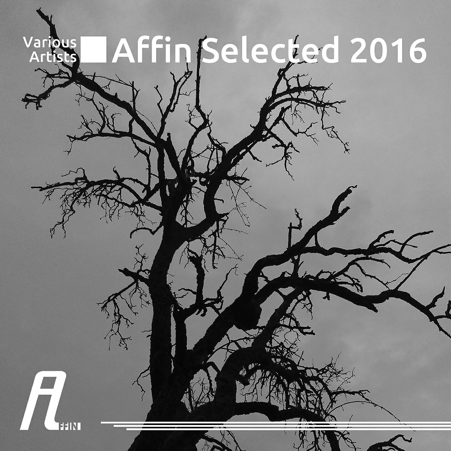 D_Func. - Unified Fields, Pt. 1