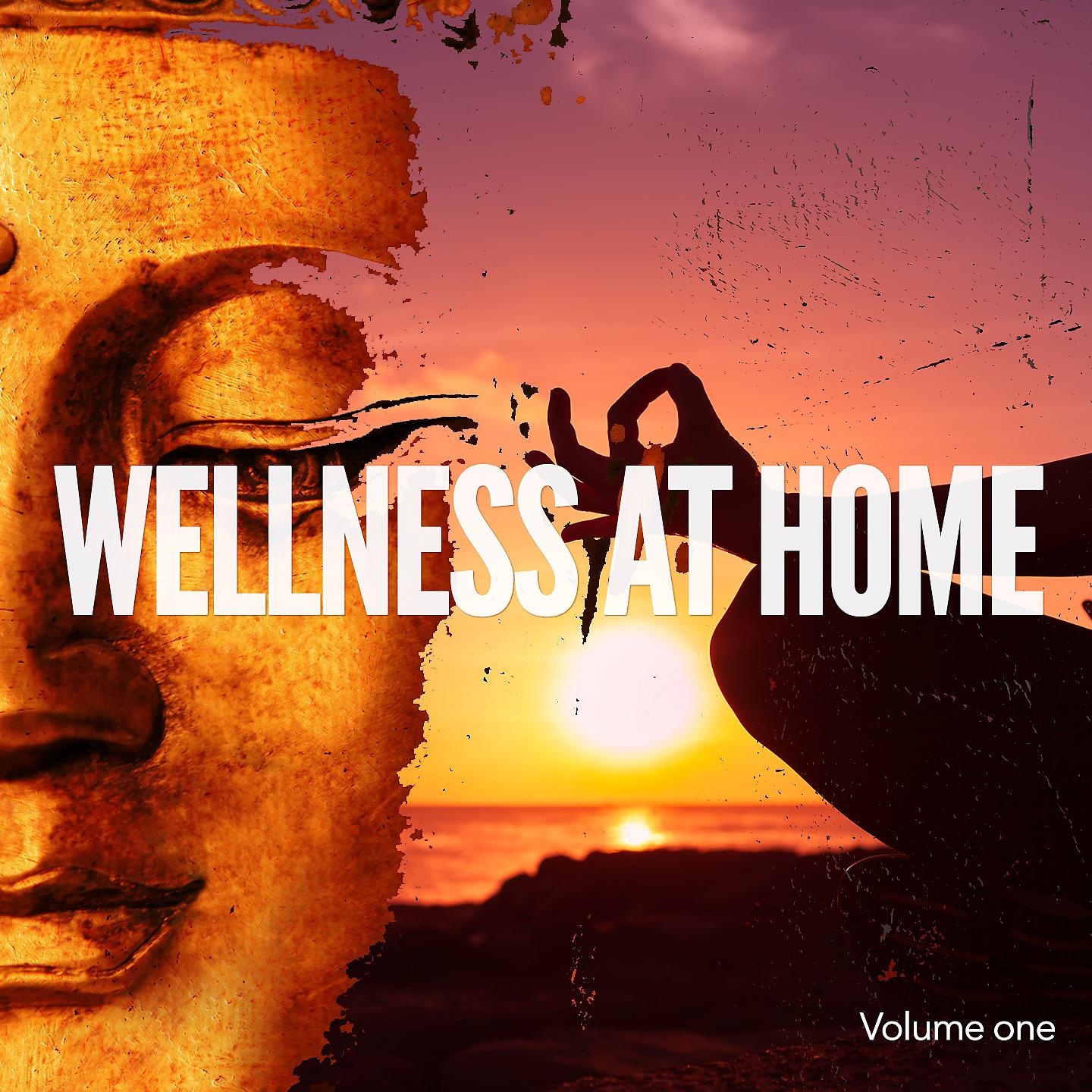 Постер альбома Wellness At Home, Vol. 1