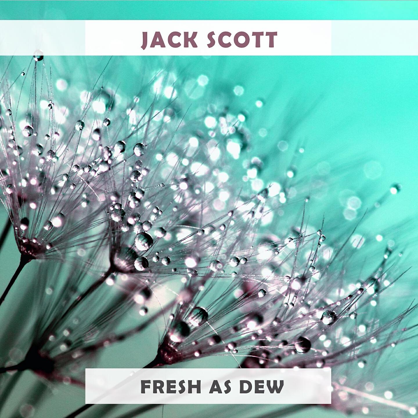 Jack Scott - You Can Bet Your Bottom Dollar