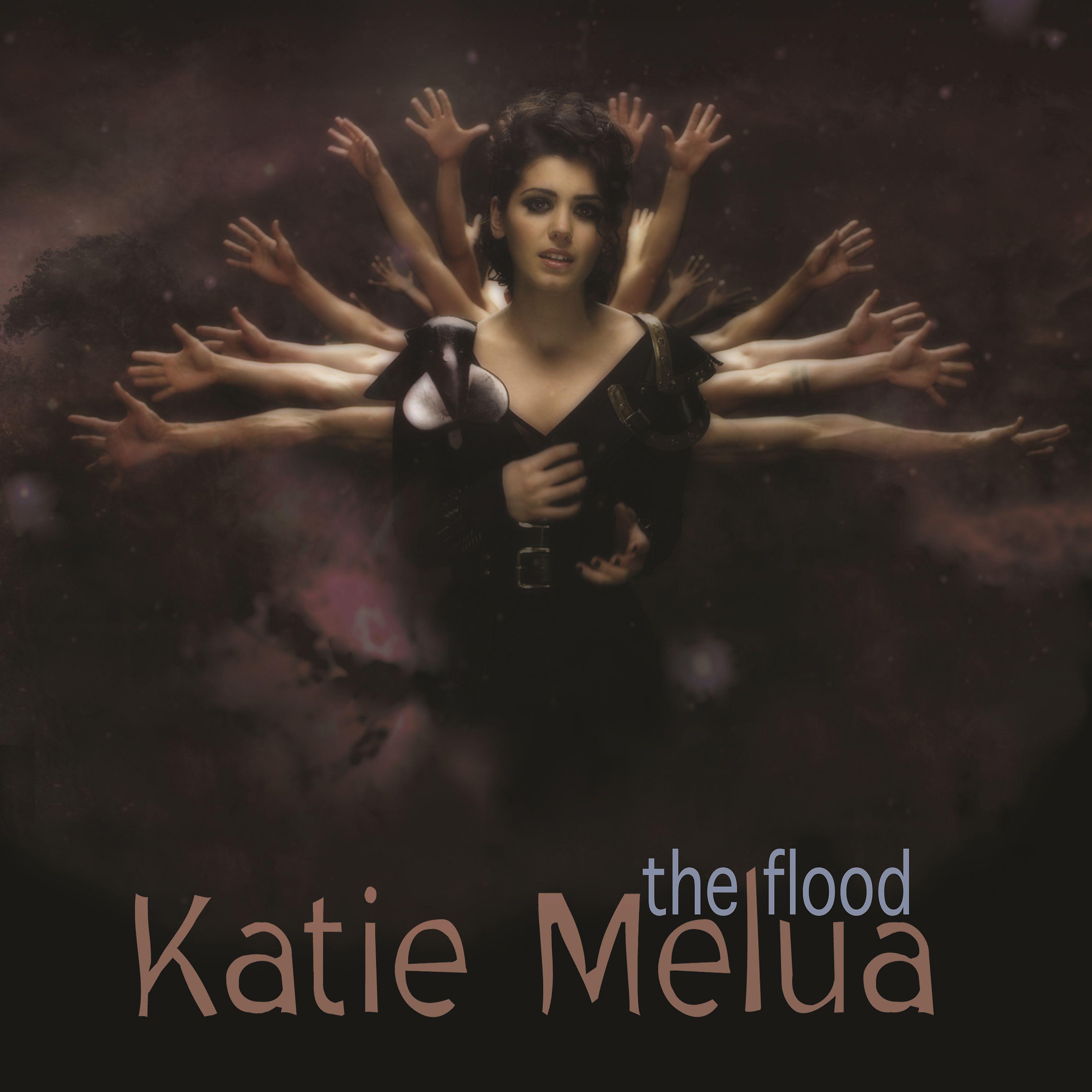 Постер альбома The Flood (Remixes)