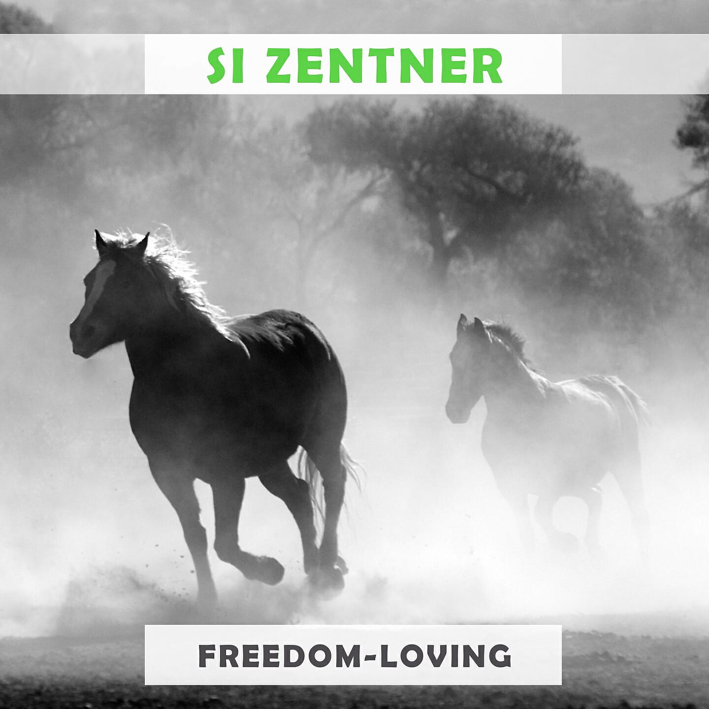 Si Zentner - High Spirits