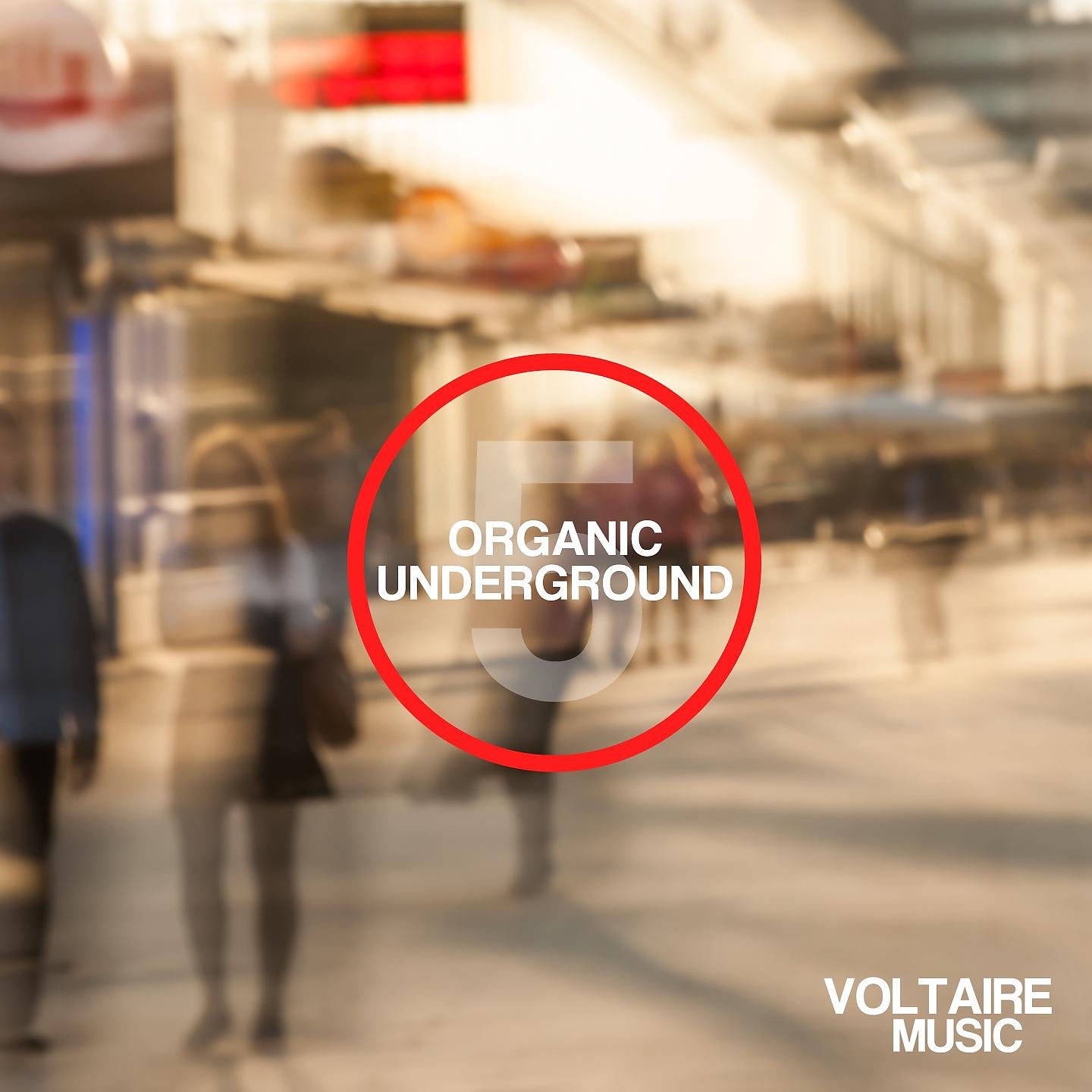 Постер альбома Organic Underground Issue 5