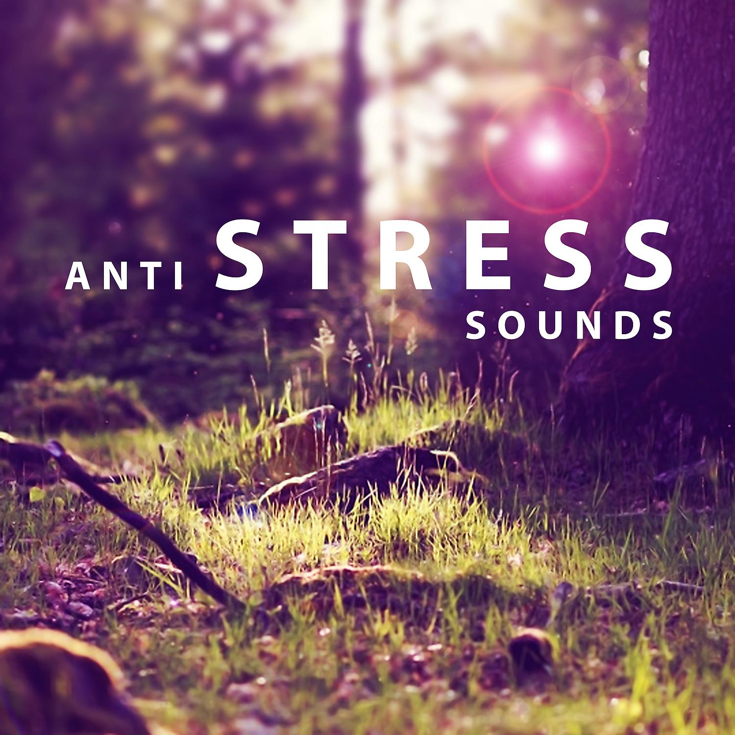 Постер альбома Anti Stress Sounds – Nature Noise for Relaxation, Singing Birds, Soothing Water, Soft Music