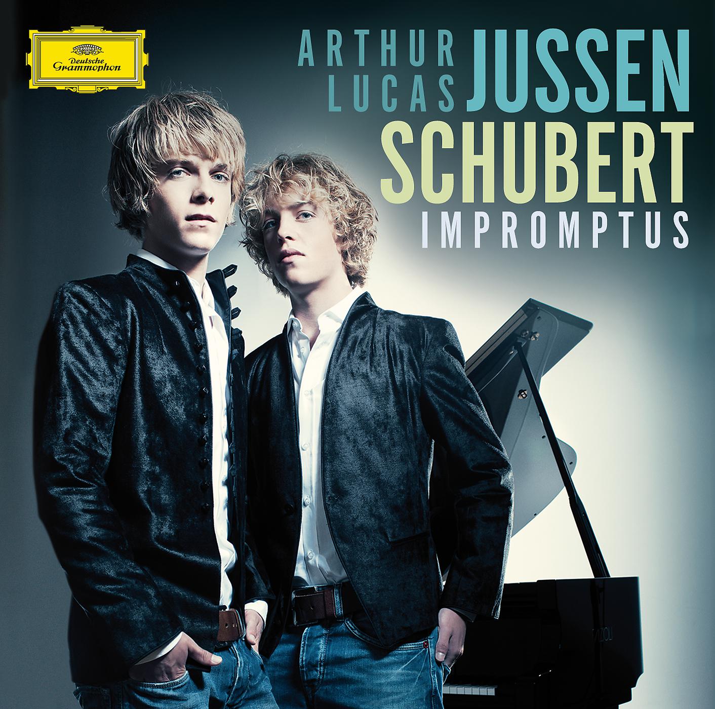 Постер альбома Schubert: Impromptus & Fantasie