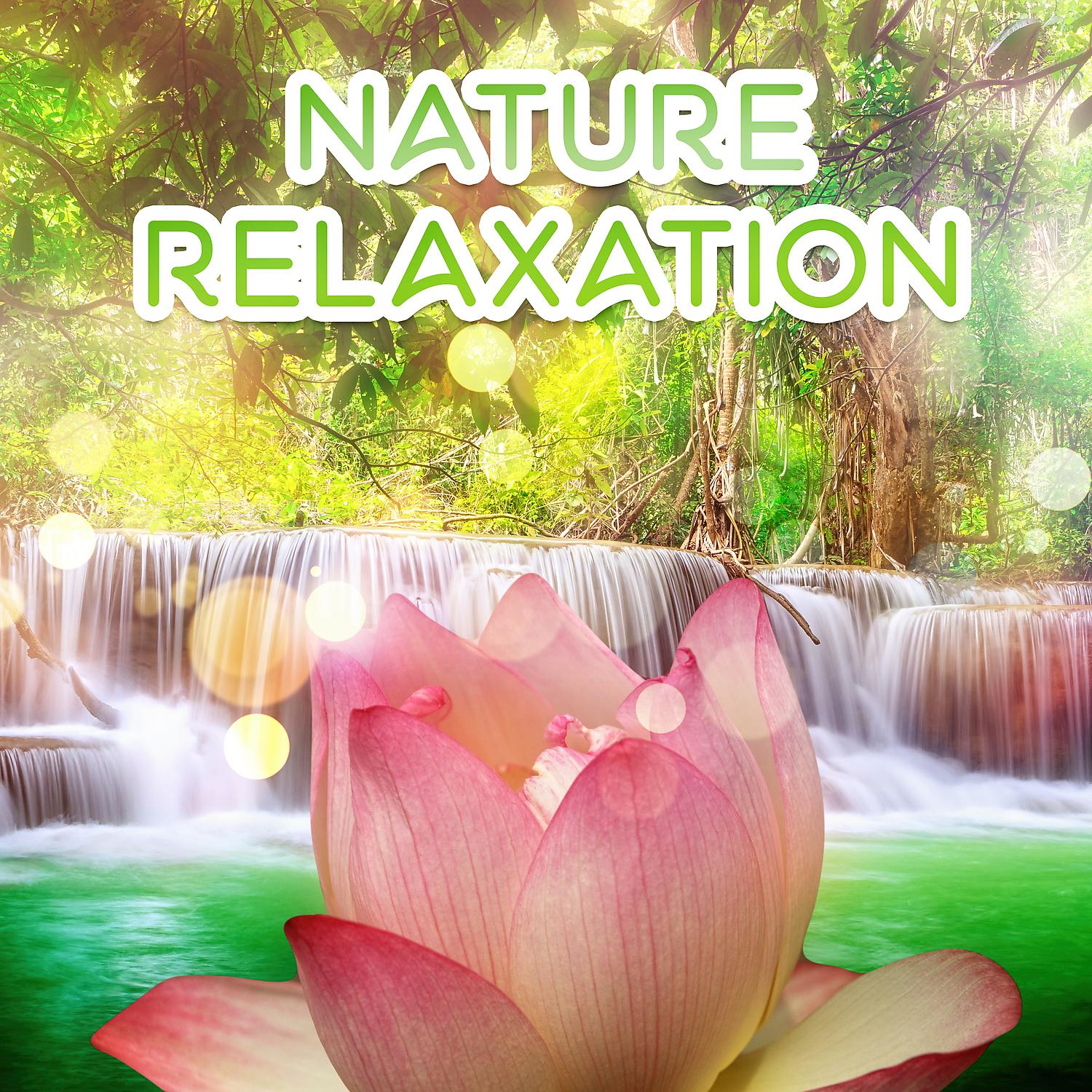 Постер альбома Nature Relaxation – Peaceful Nature Sounds for Relaxation, Calming Down Nature Music