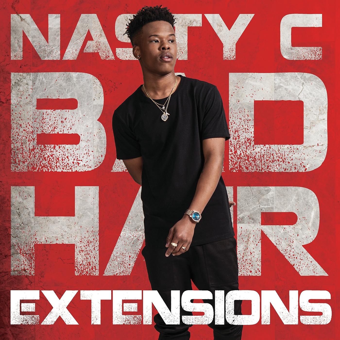 Постер альбома Bad Hair Extensions
