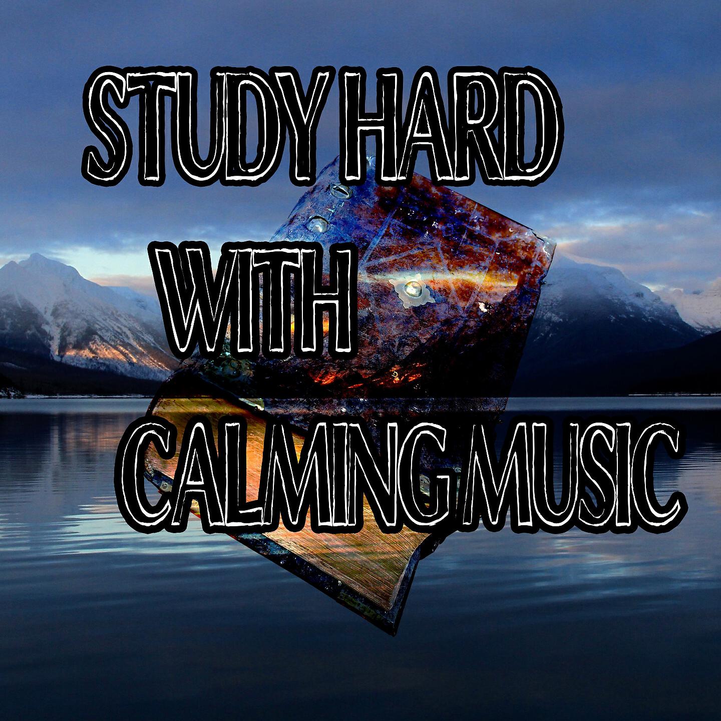 Focus Study Music Academy - Calming Ocean Friends