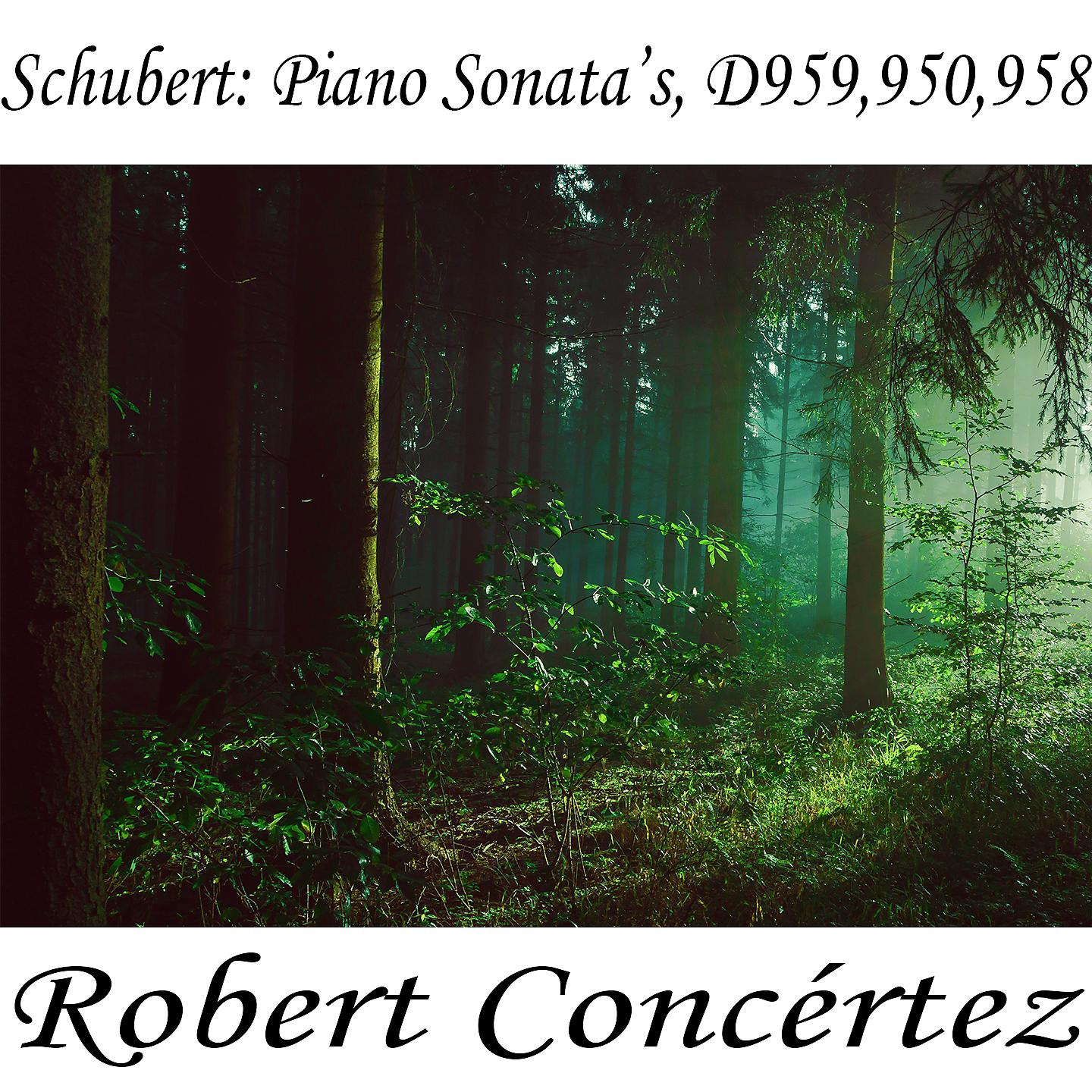 Franz Schubert - Sonata in C minor, D- 958 in A-Flat Major, D958 II- Adagio