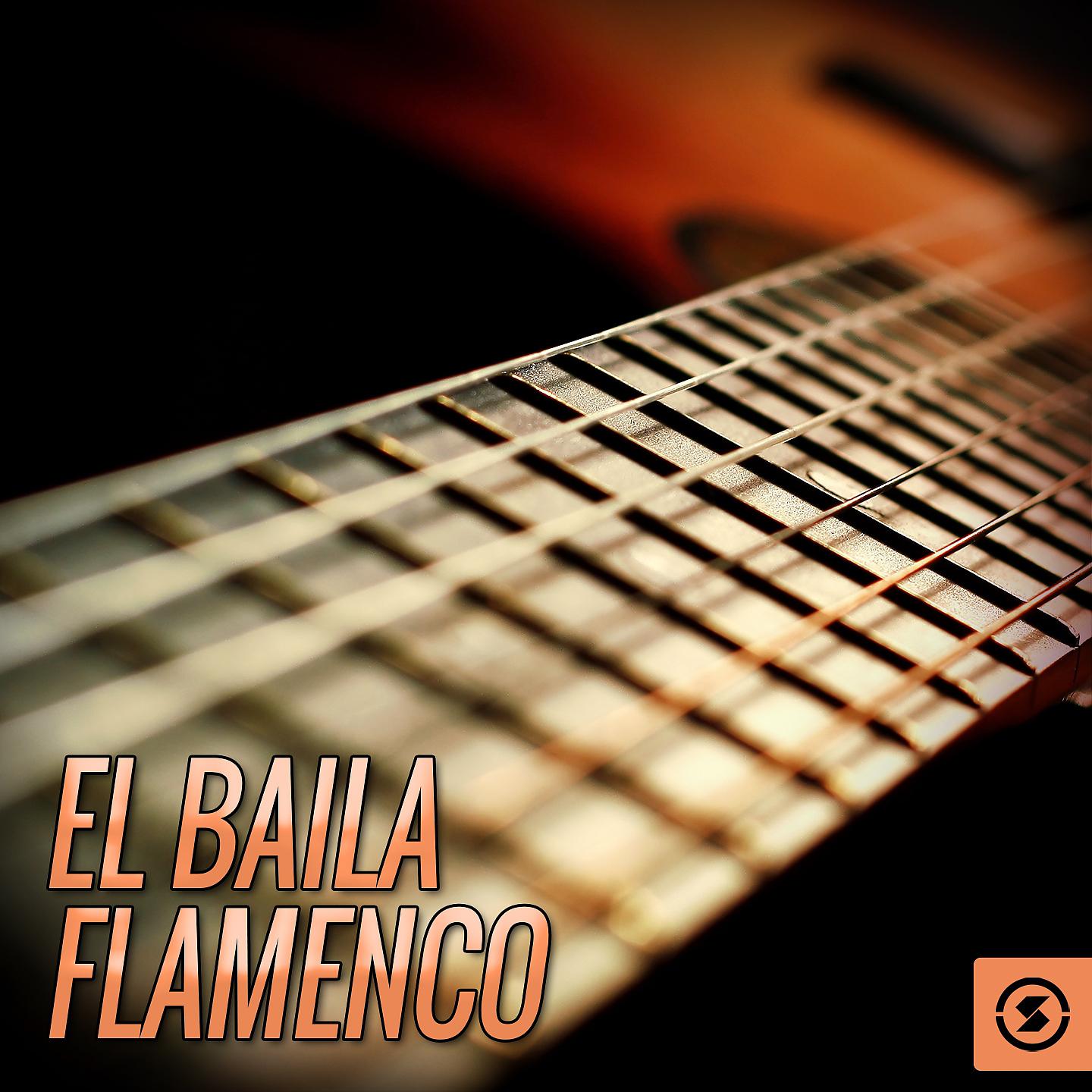 Постер альбома El Baila Flamenco