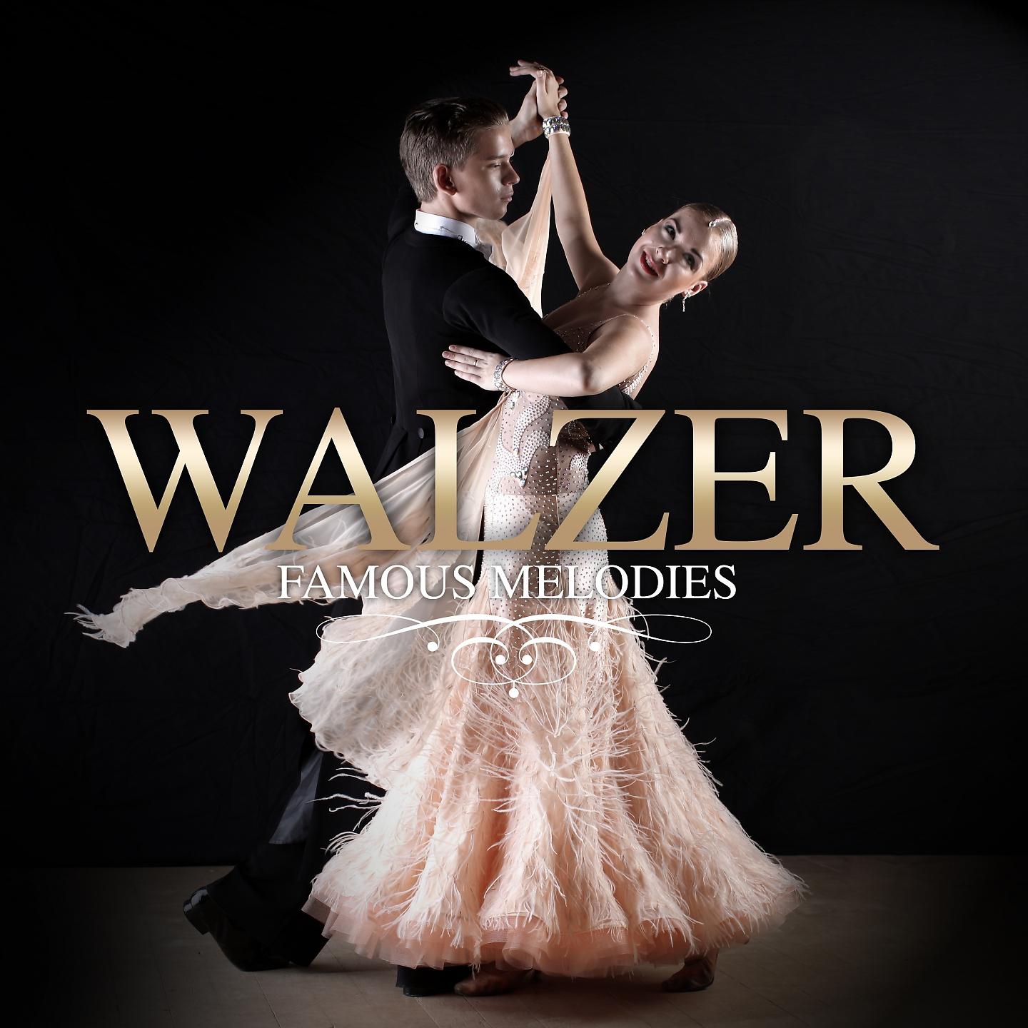 Постер альбома Walzer