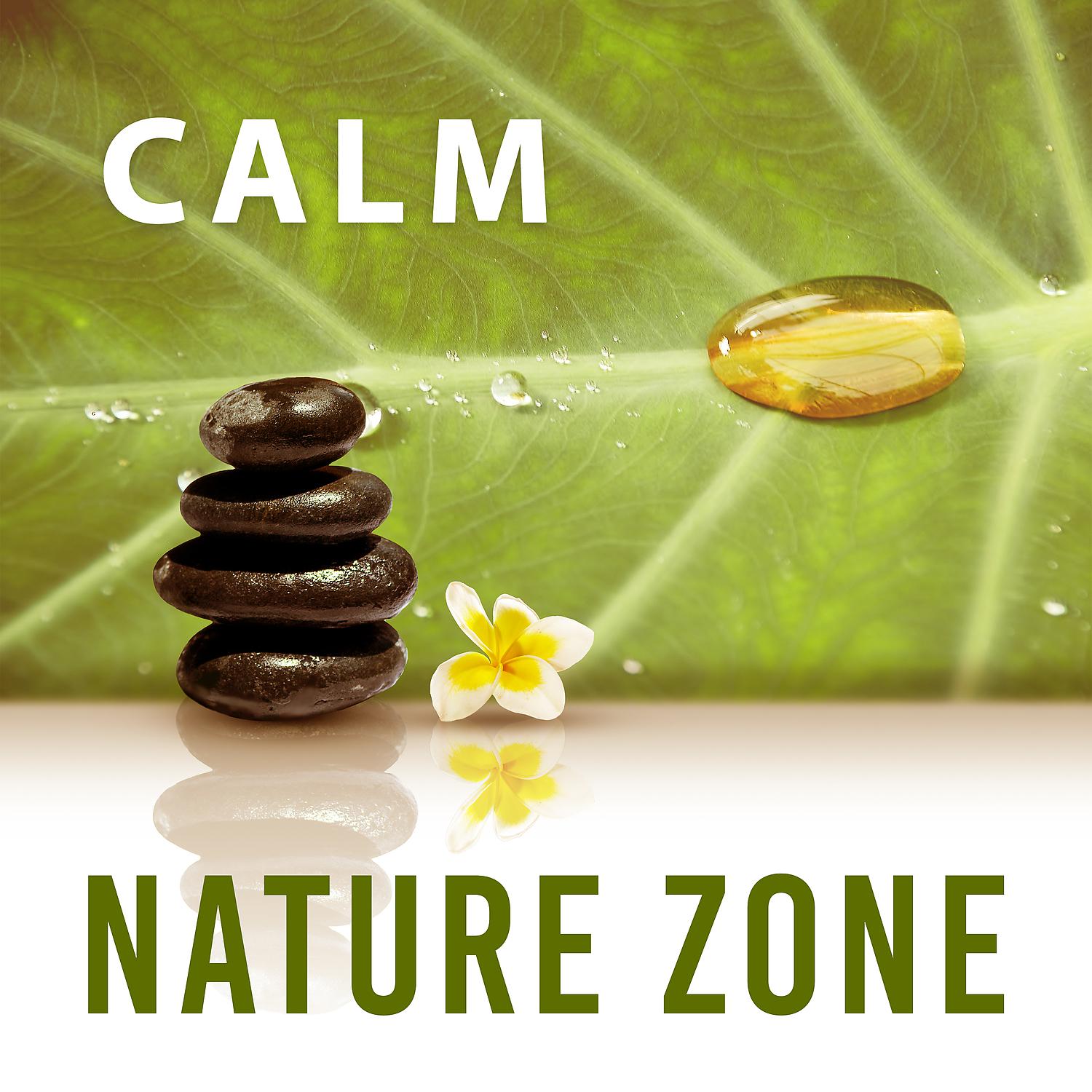 Постер альбома Calm Nature Zone – Music for Spa Lounge, Beauty Salon, Mind, Body & Soul