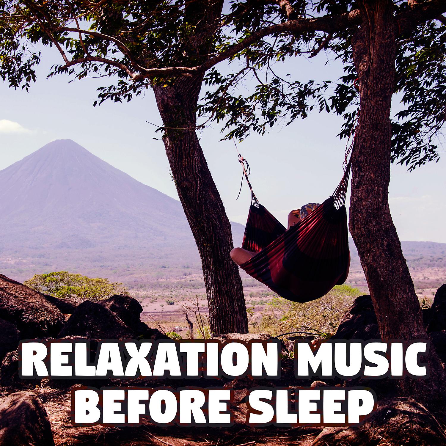 Постер альбома Relaxation Music Before Sleep - Pure Relax Sounds, Free Your Mind, Serenity Sleep