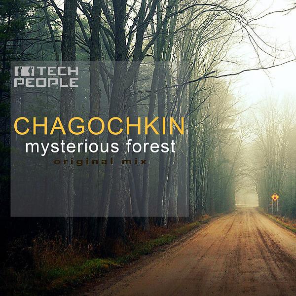 Chagochkin - Mysterious Forest (feat. Chagochkin)