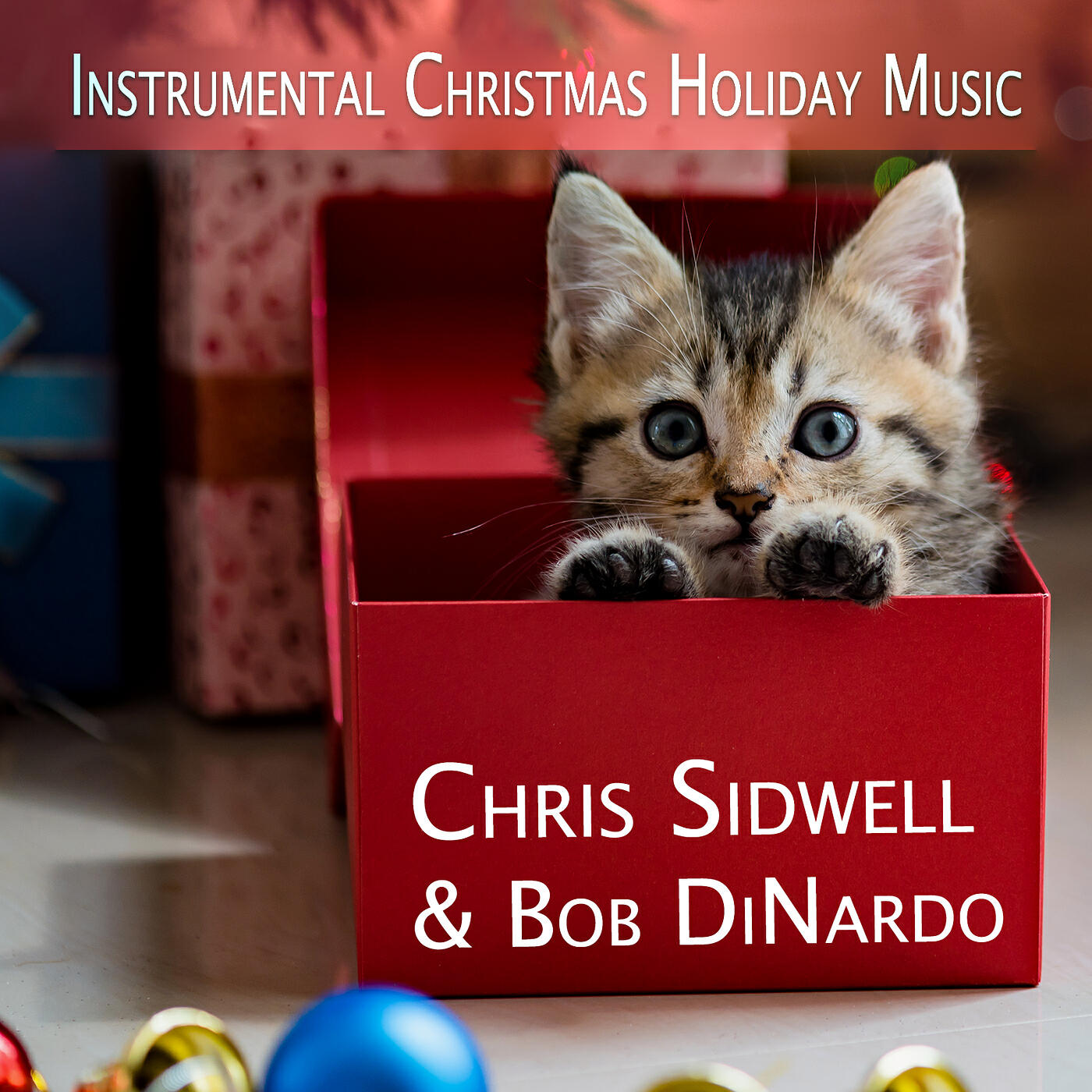 Chris Sidwell & Bob DiNardo - Frosty the Snowman