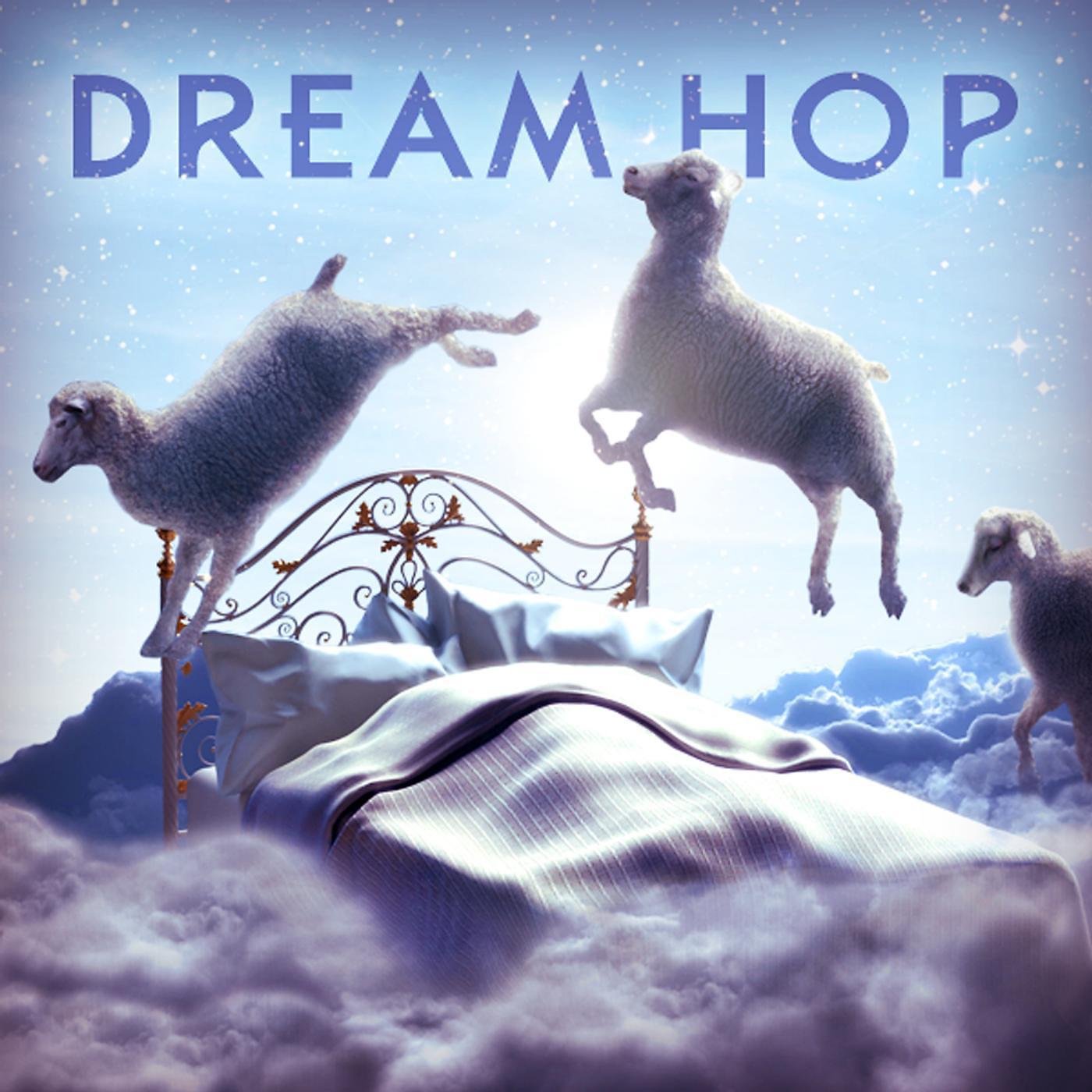 Постер альбома Dream Hop