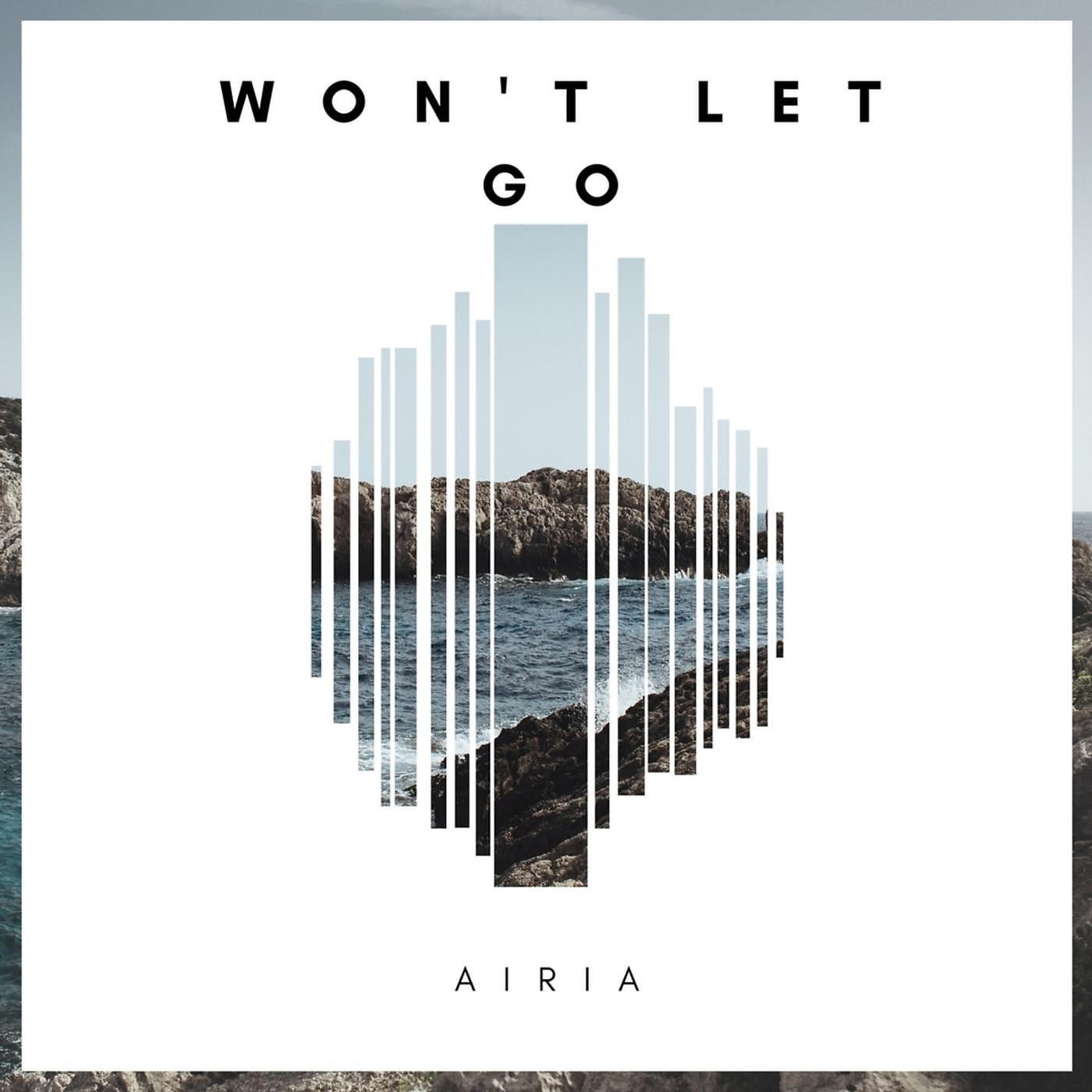 Постер альбома Won't Let Go