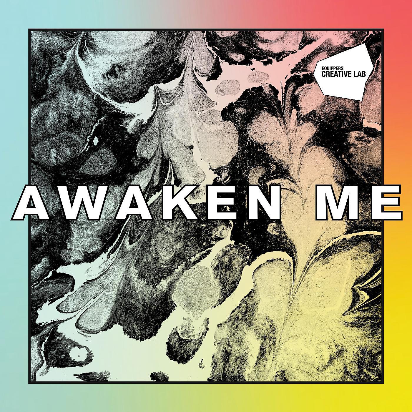 Постер альбома Awaken Me