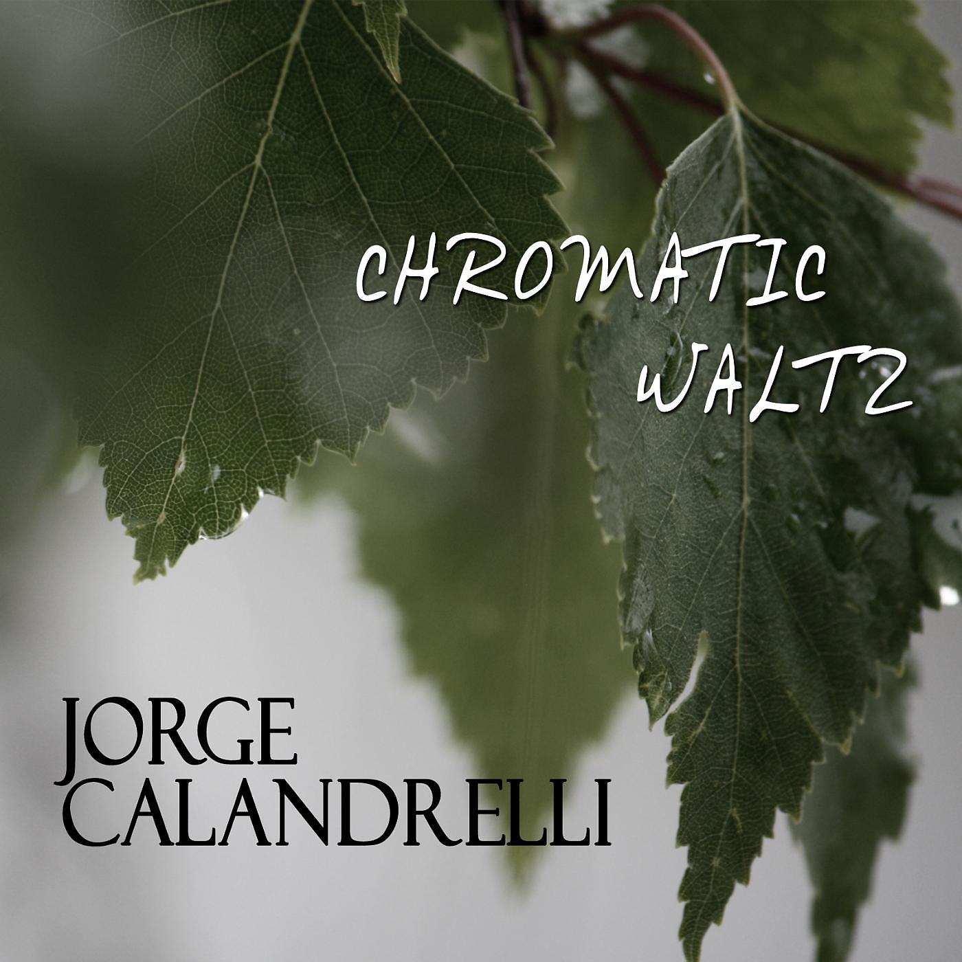 Постер альбома Chromatic Waltz