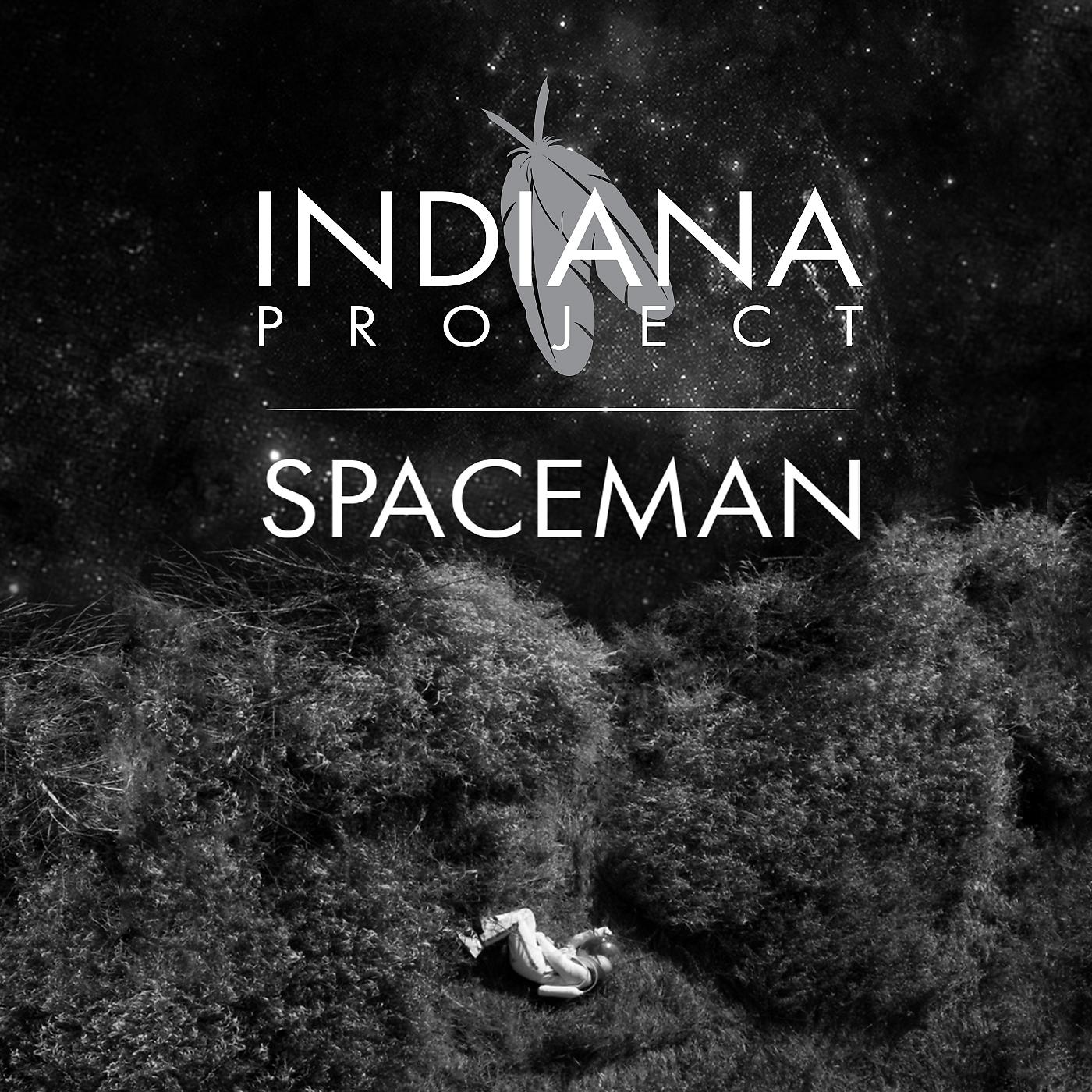 Постер альбома Spaceman
