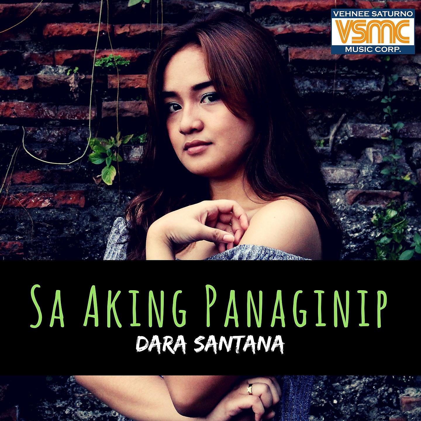 Постер альбома Sa Aking Panaginip