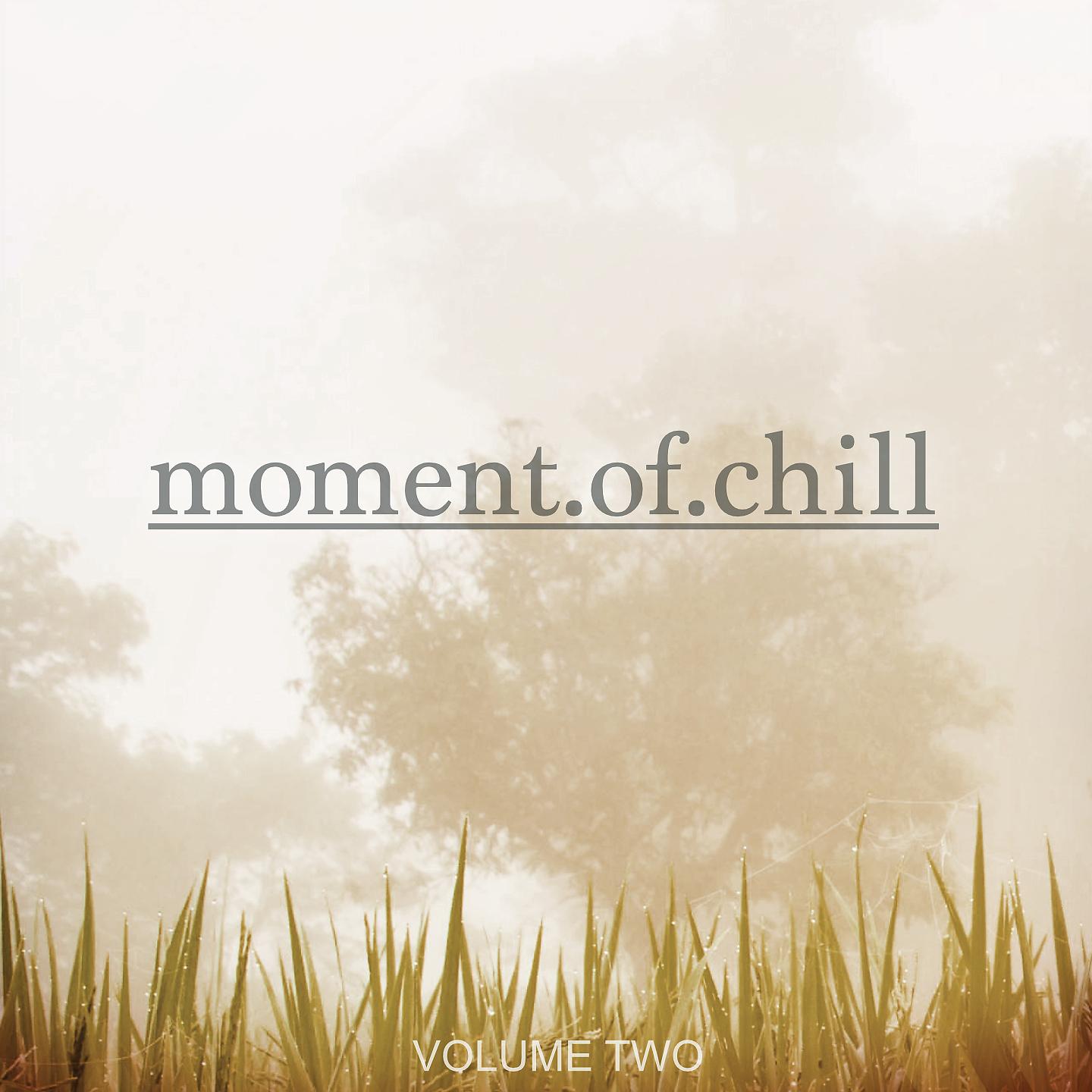 Постер альбома Moment Of Chill, Vol. 2