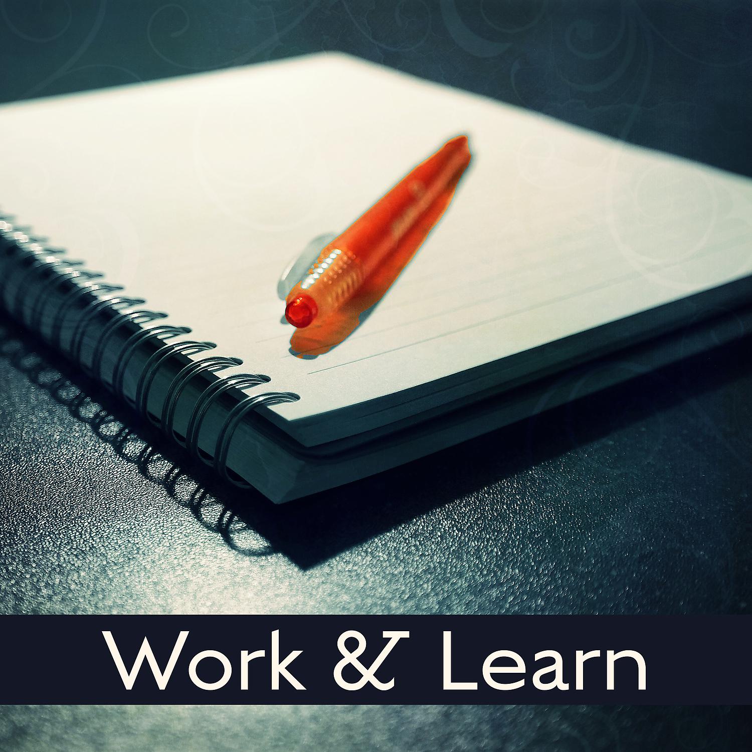 Постер альбома Work & Learn – Music for Study, Better Memory, Deep Focus, Easier Exam, Mozart, Beethoven
