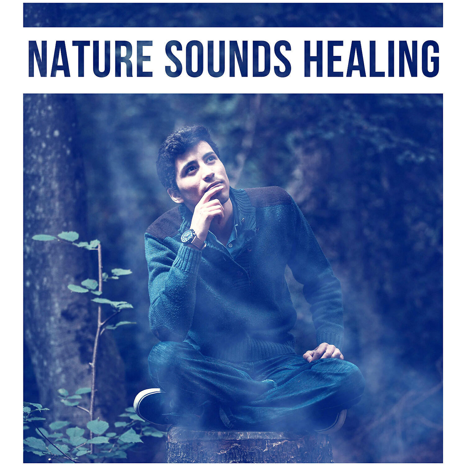 Natural Life Sounds - Calm Sounds of Nature
