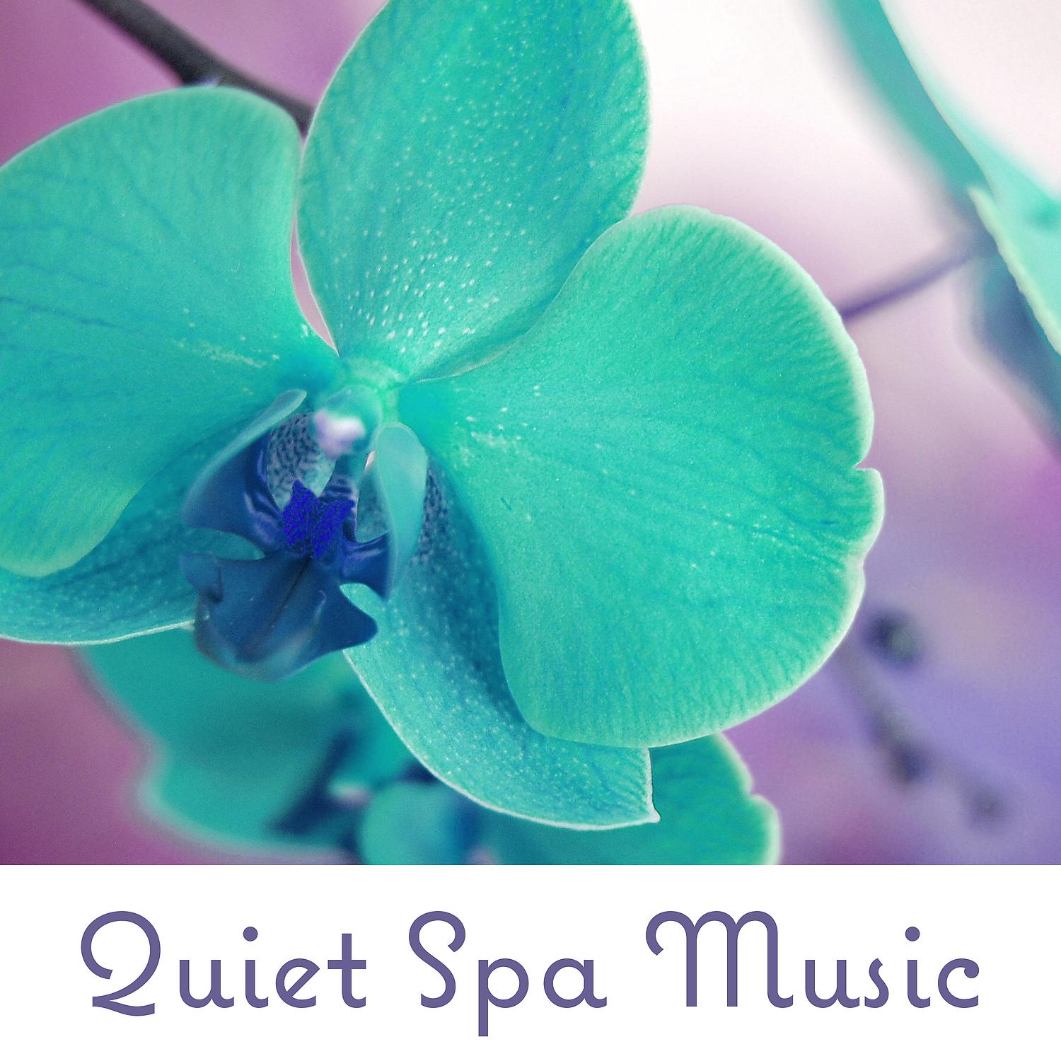 Постер альбома Quiet Spa Music - Lomi Lomi Spa Music, Pure Relaxation Zone, Massage Time, Pure Meditation
