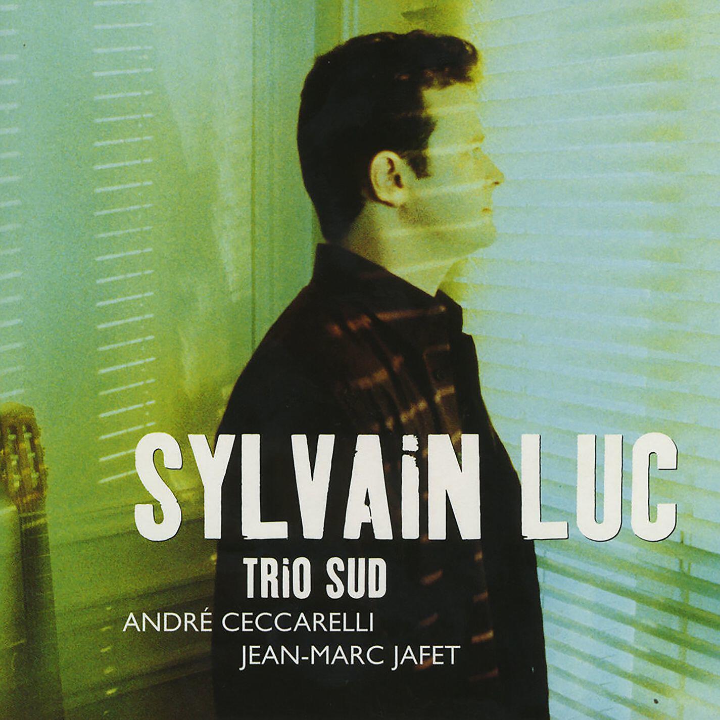 Sylvain Luc - Irdir