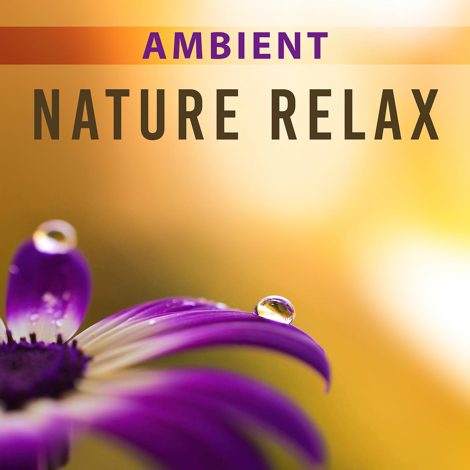Постер альбома Ambient Nature Relax – Music for Relaxation, Healing Water Sounds, Beautiful Nature, Ambient Nature Sounds