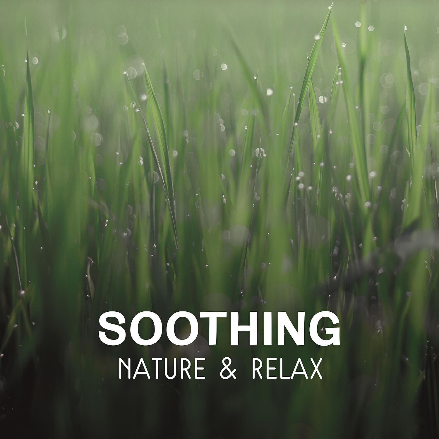 Nature Music Sanctuary - Wind Spirits
