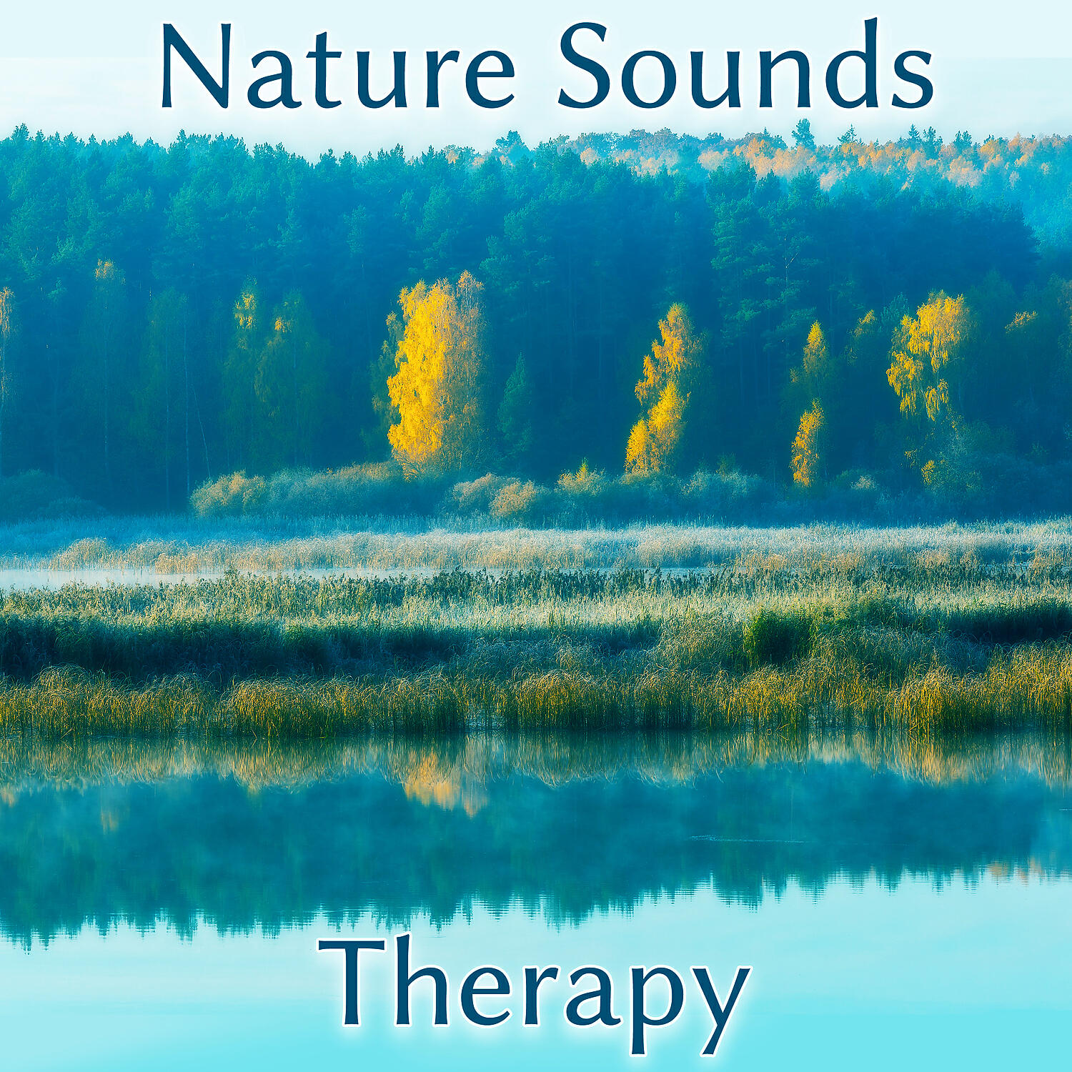 Nature Music Nature Sound - Sleep Rain