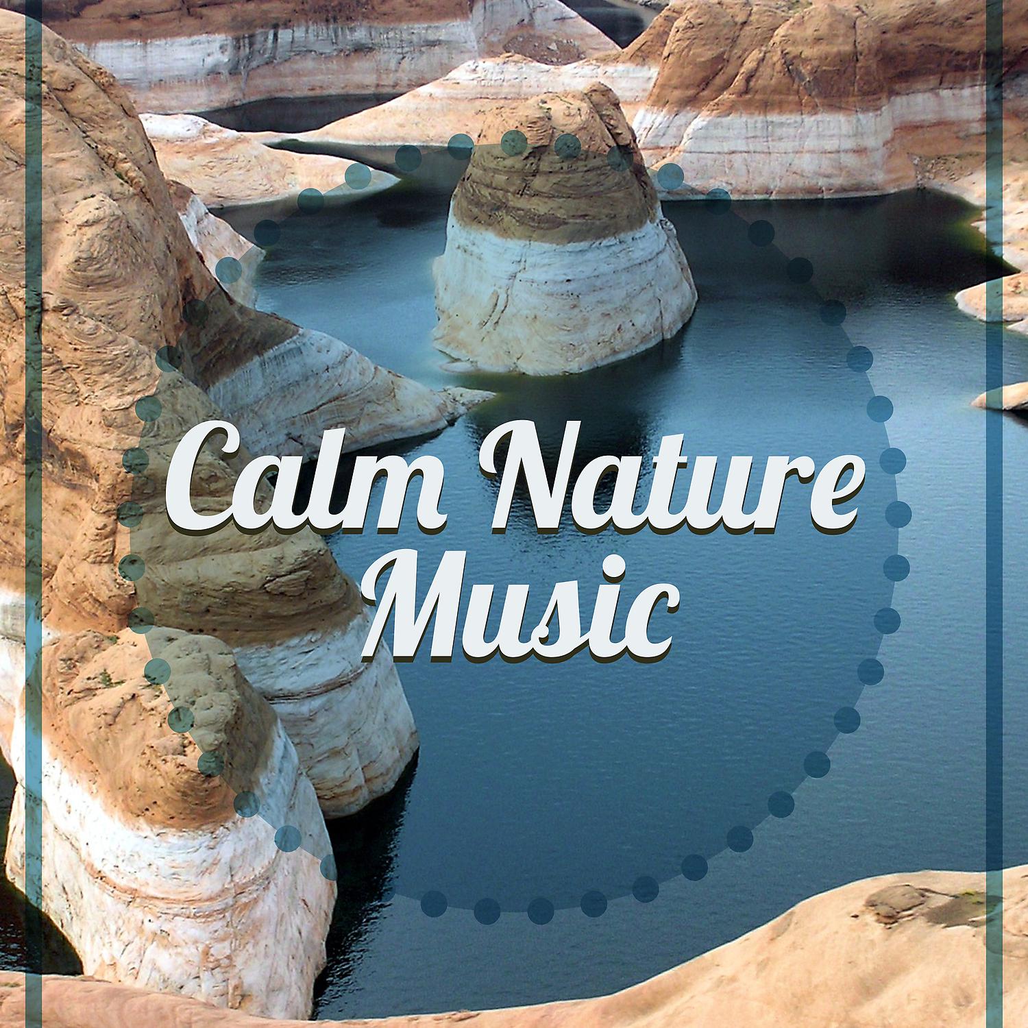 Постер альбома Calm Nature Music – Unwind at Relaxation Sound