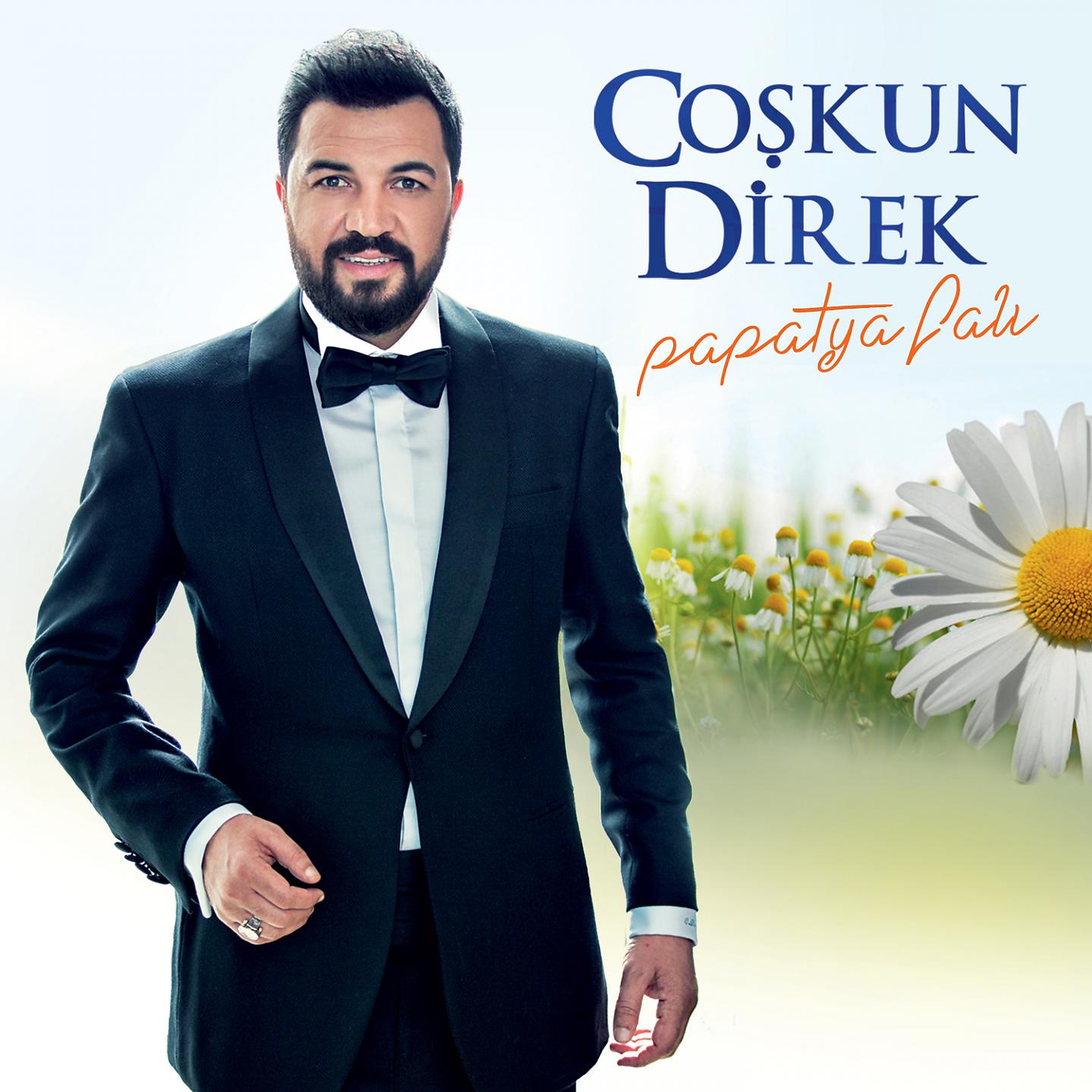 Постер альбома Papatya Falı