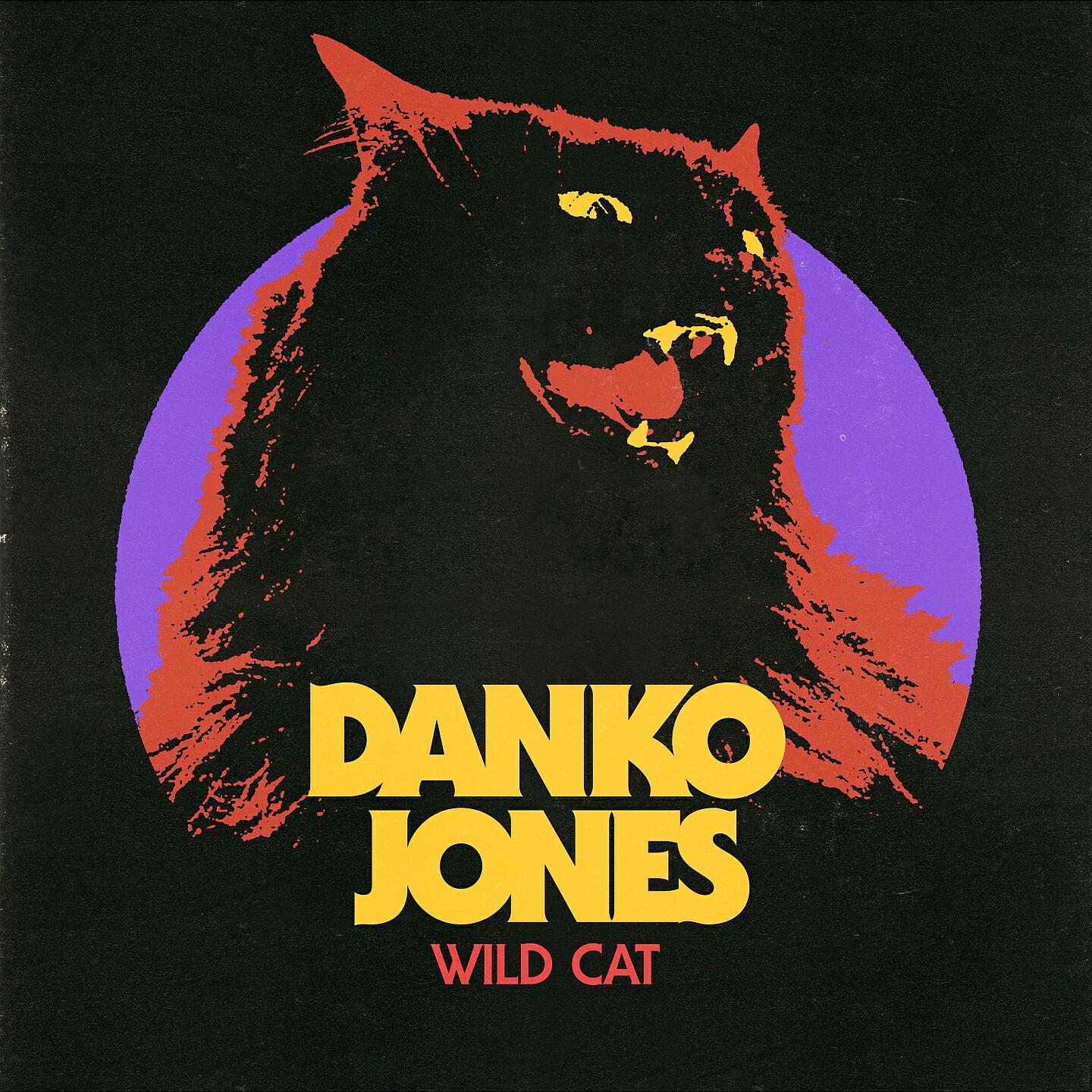Danko Jones - My Little RnR