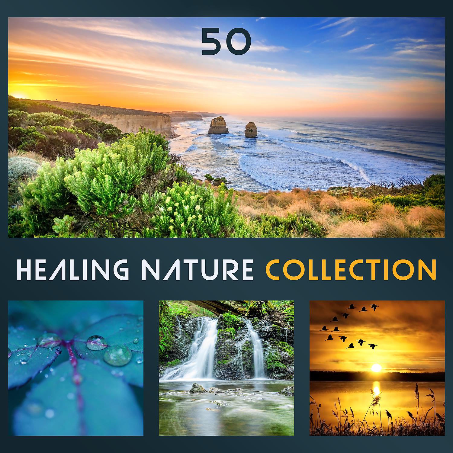 Постер альбома 50 Healing Nature Collection: Soothing Sound of Nature for Relaxation, Meditation, Concentration, Deep Sleep & Wellbeing