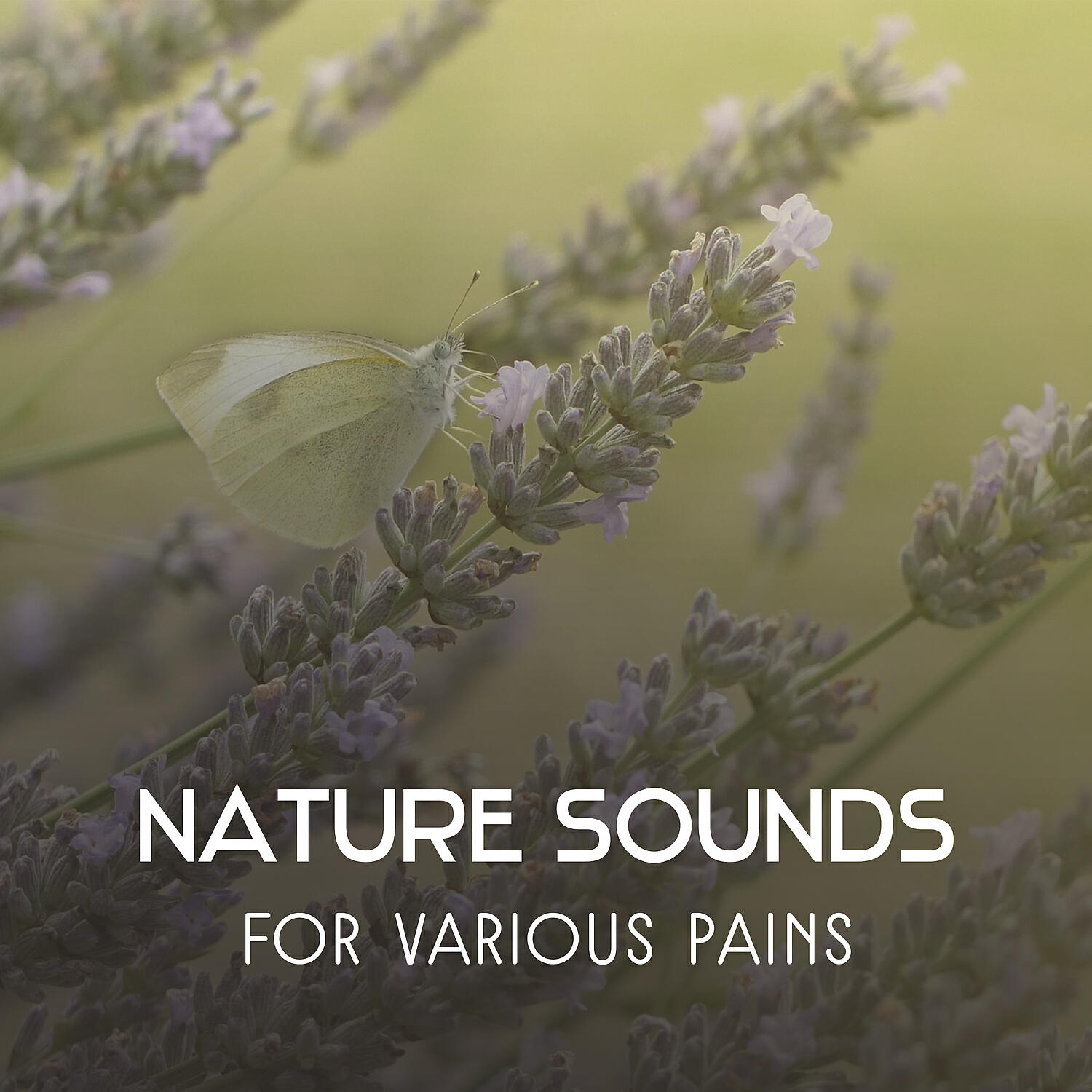 Natural Treatment Zone - Healing Ocean Waves (Cure Insomnia)