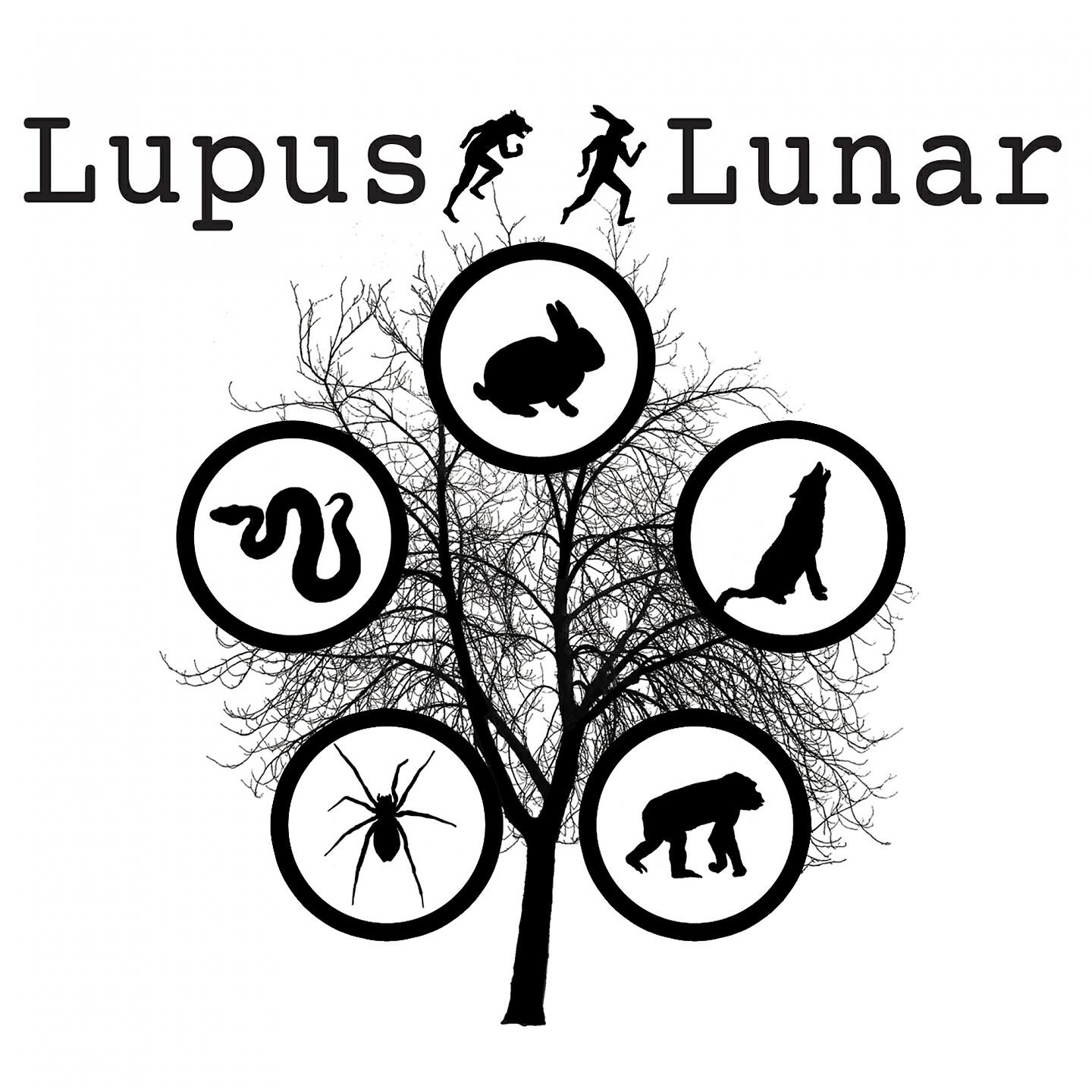 Lupus Lunar - Pretty Ouchie for a Newbie