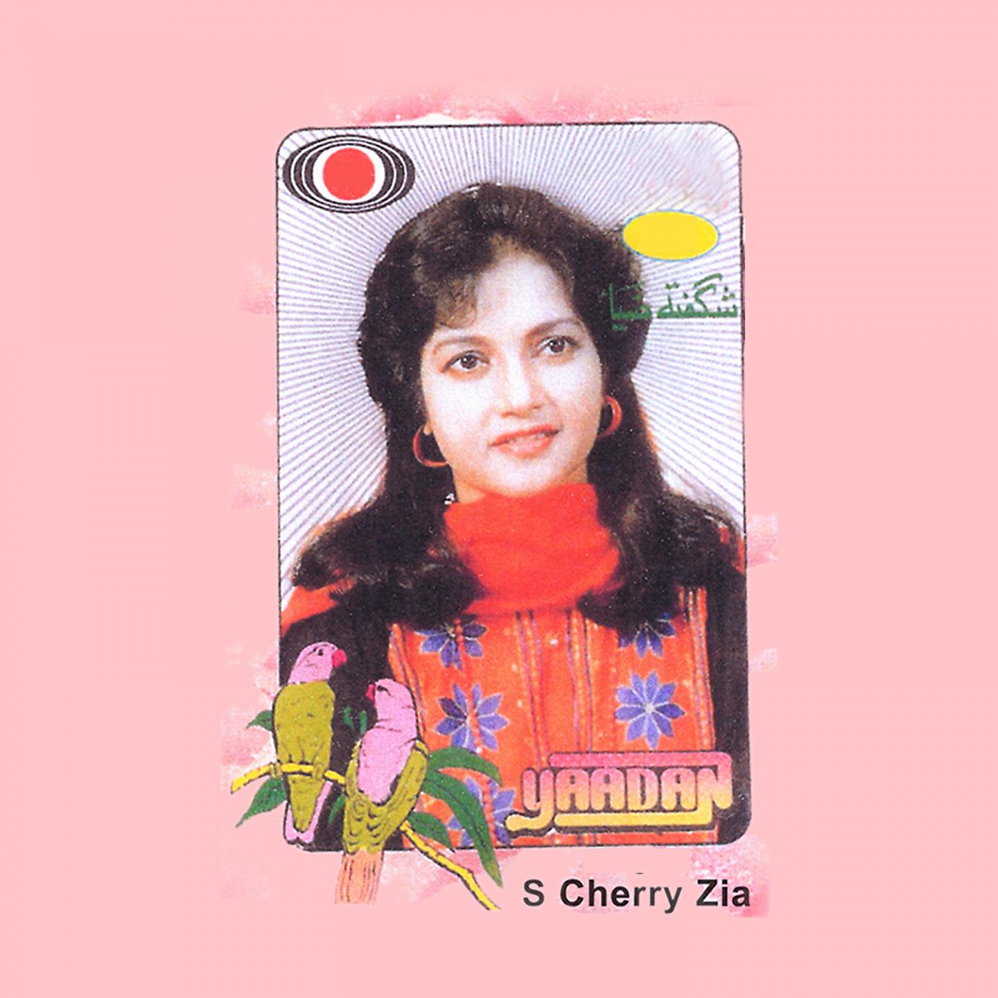 S Cherry Zia - Nika Mota