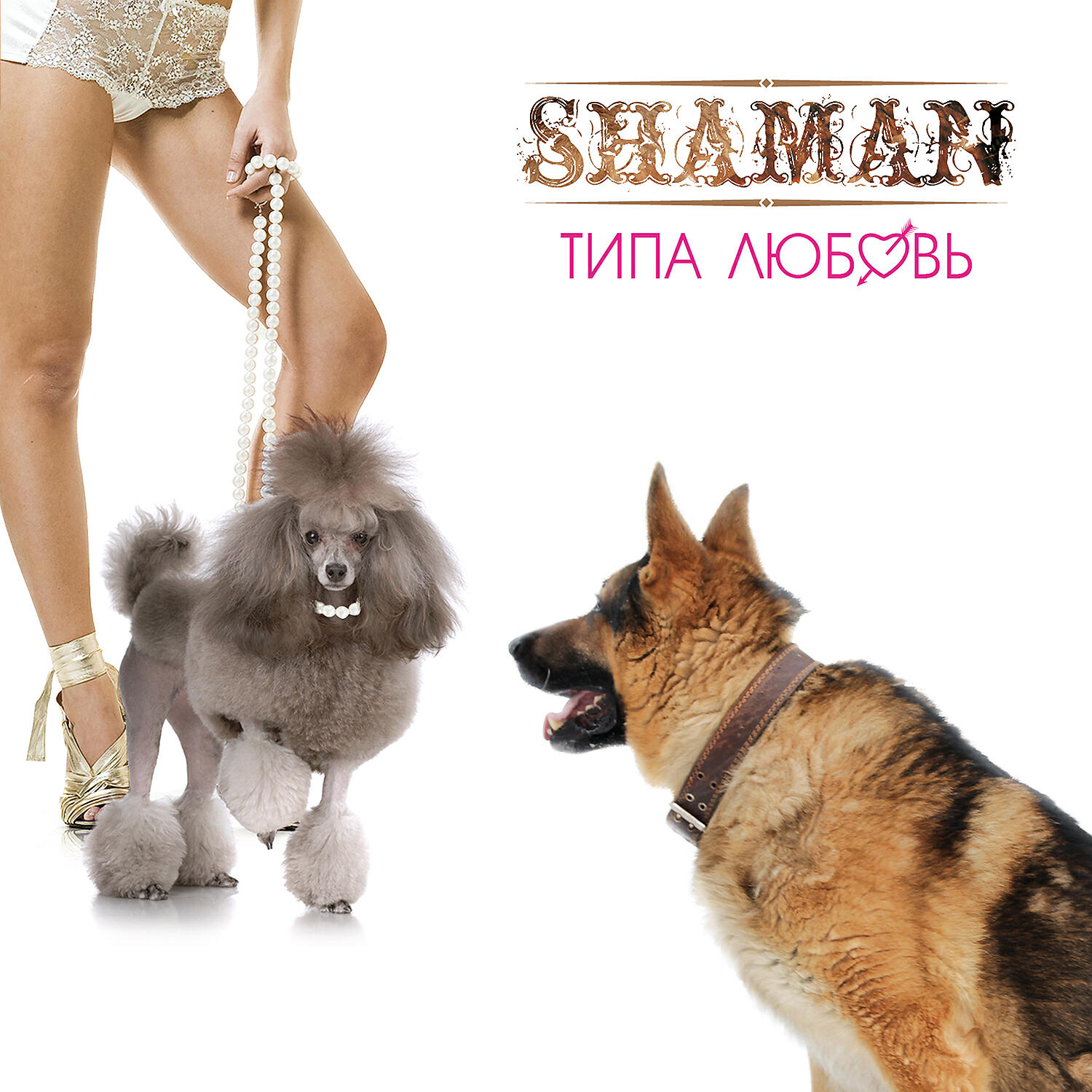 Шаман слушать все песни. Shaman одна красивая леди. Shaman типа любовь. Shaman ты моя. Она опасна Shaman.
